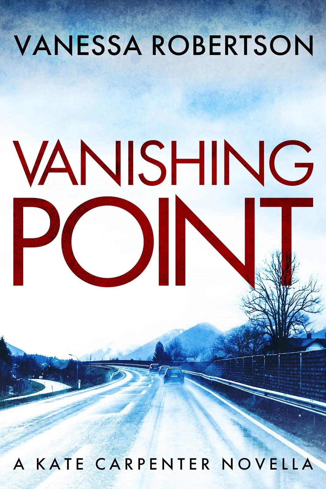 Vanishing Point by Vanessa Robertson