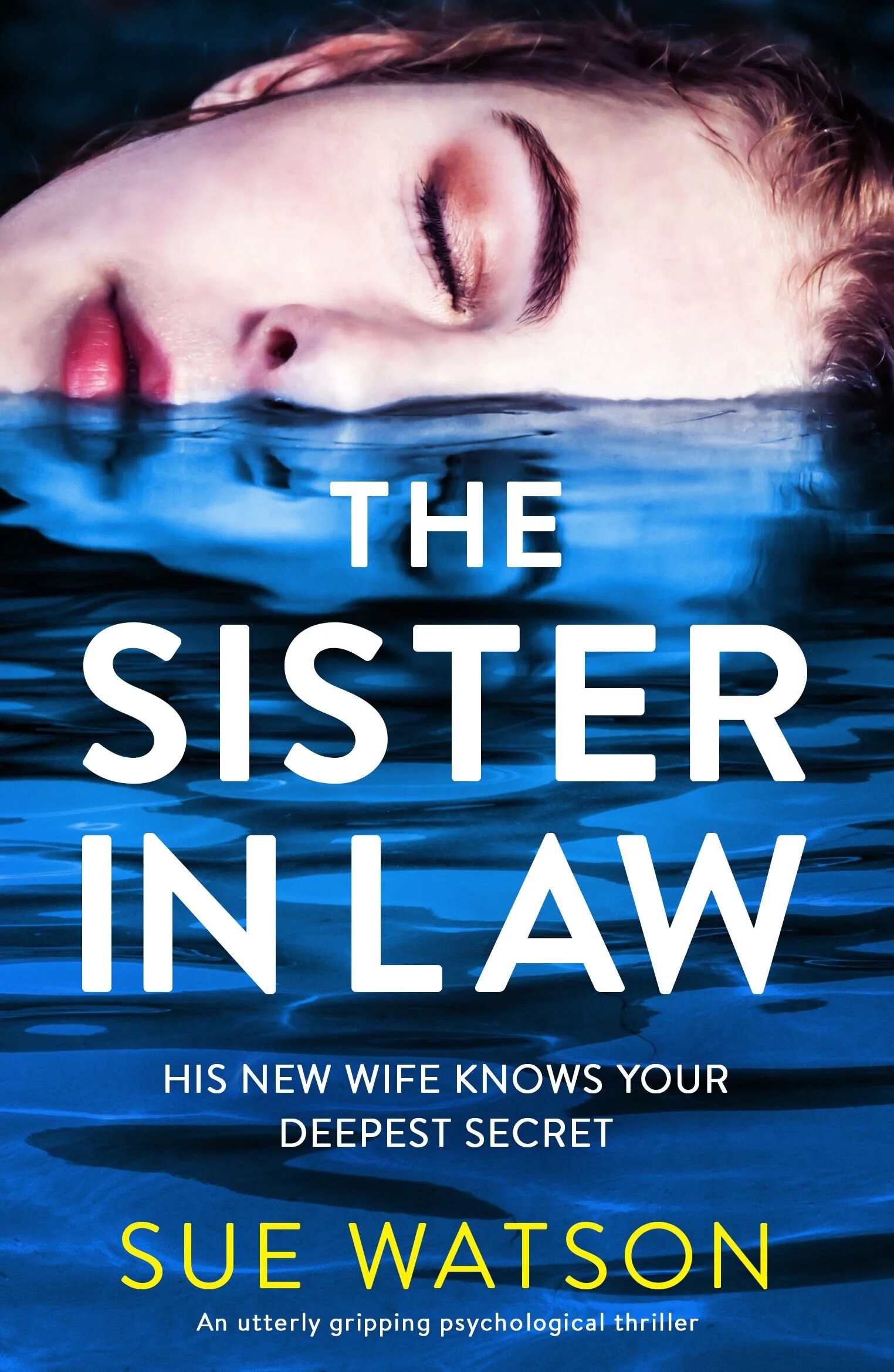 The Sister In Law by Sue Watson