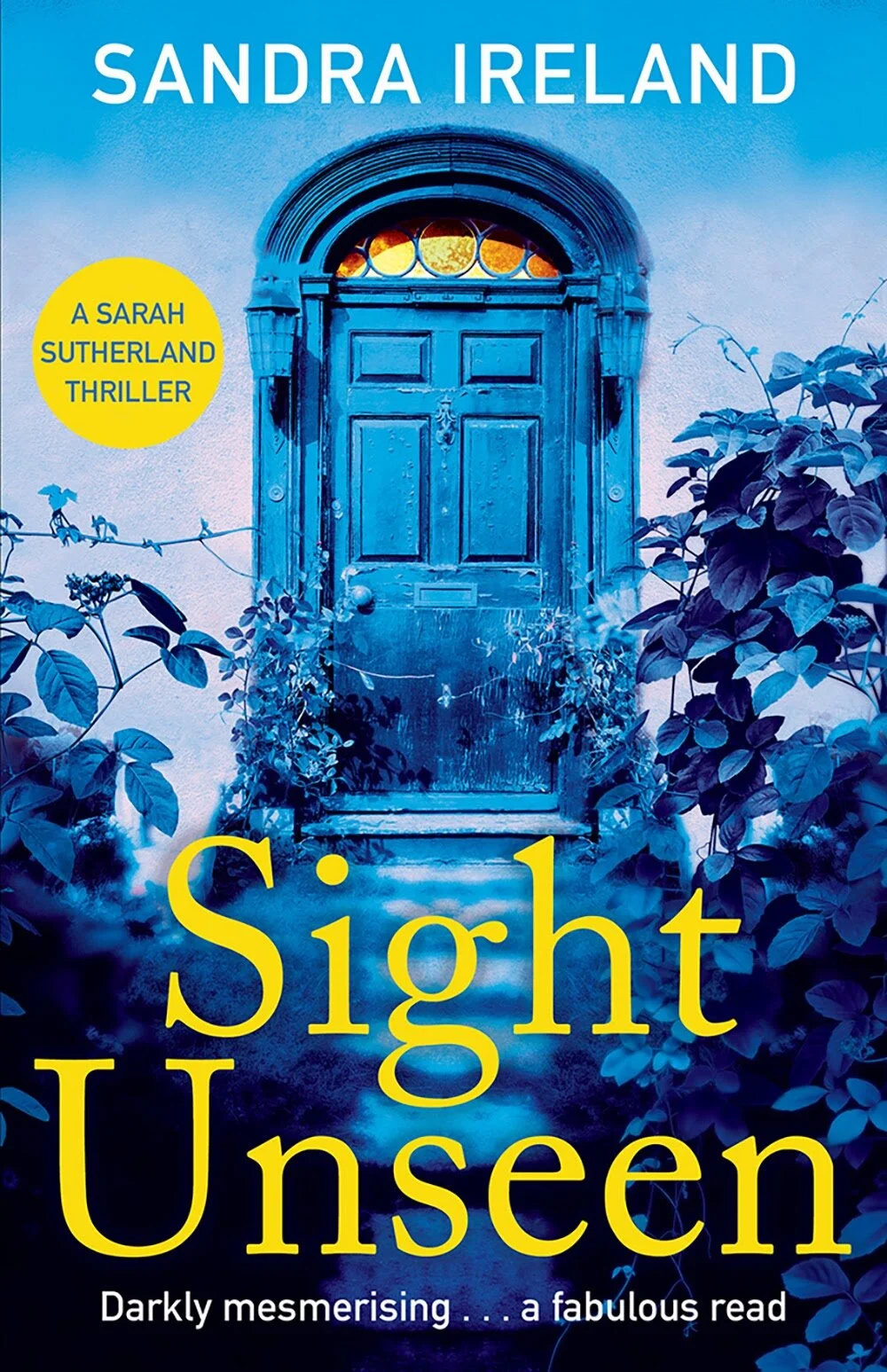 Sight Unseen by Sandra Ireland