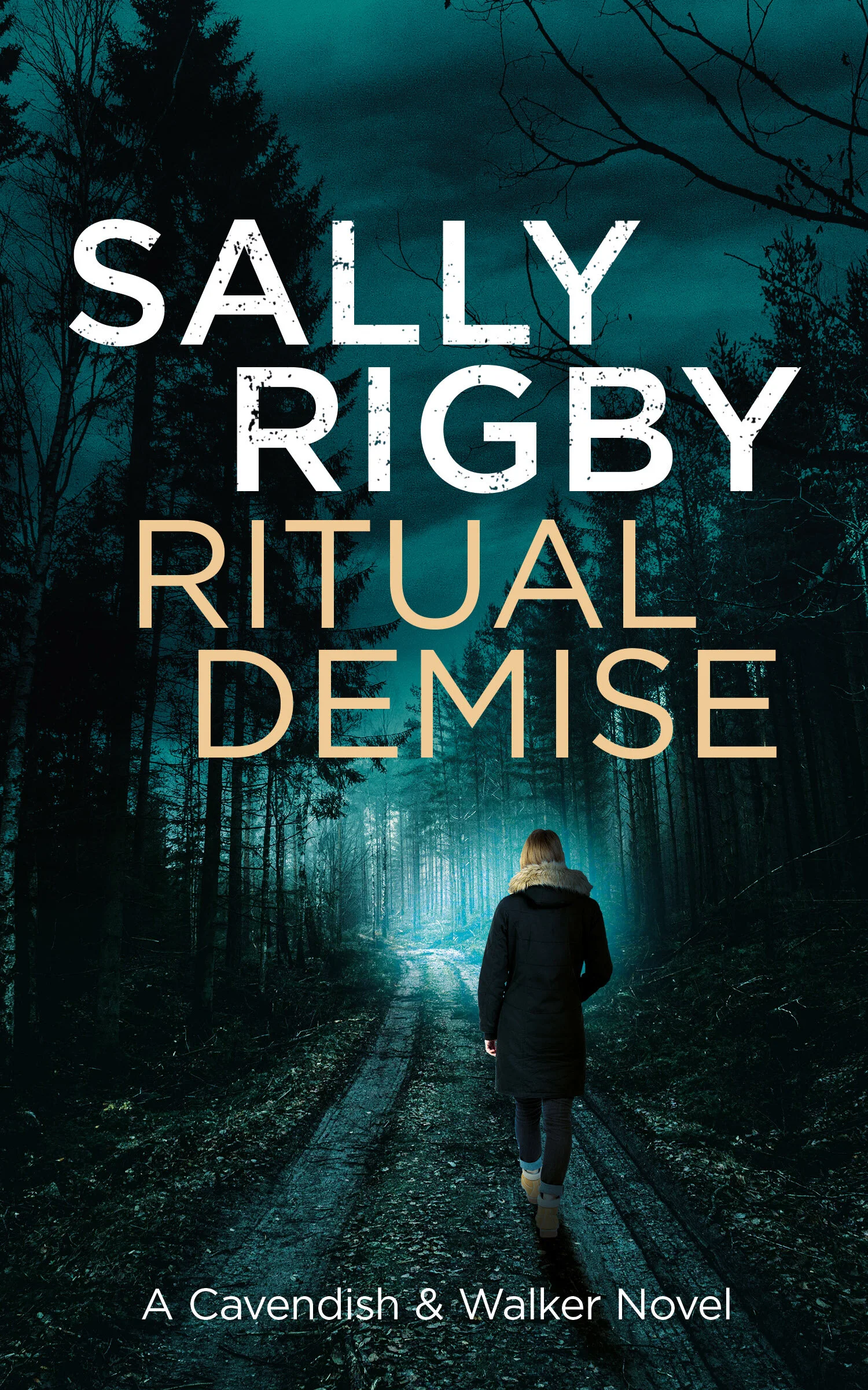 Ritual Demise by Sally Rigby