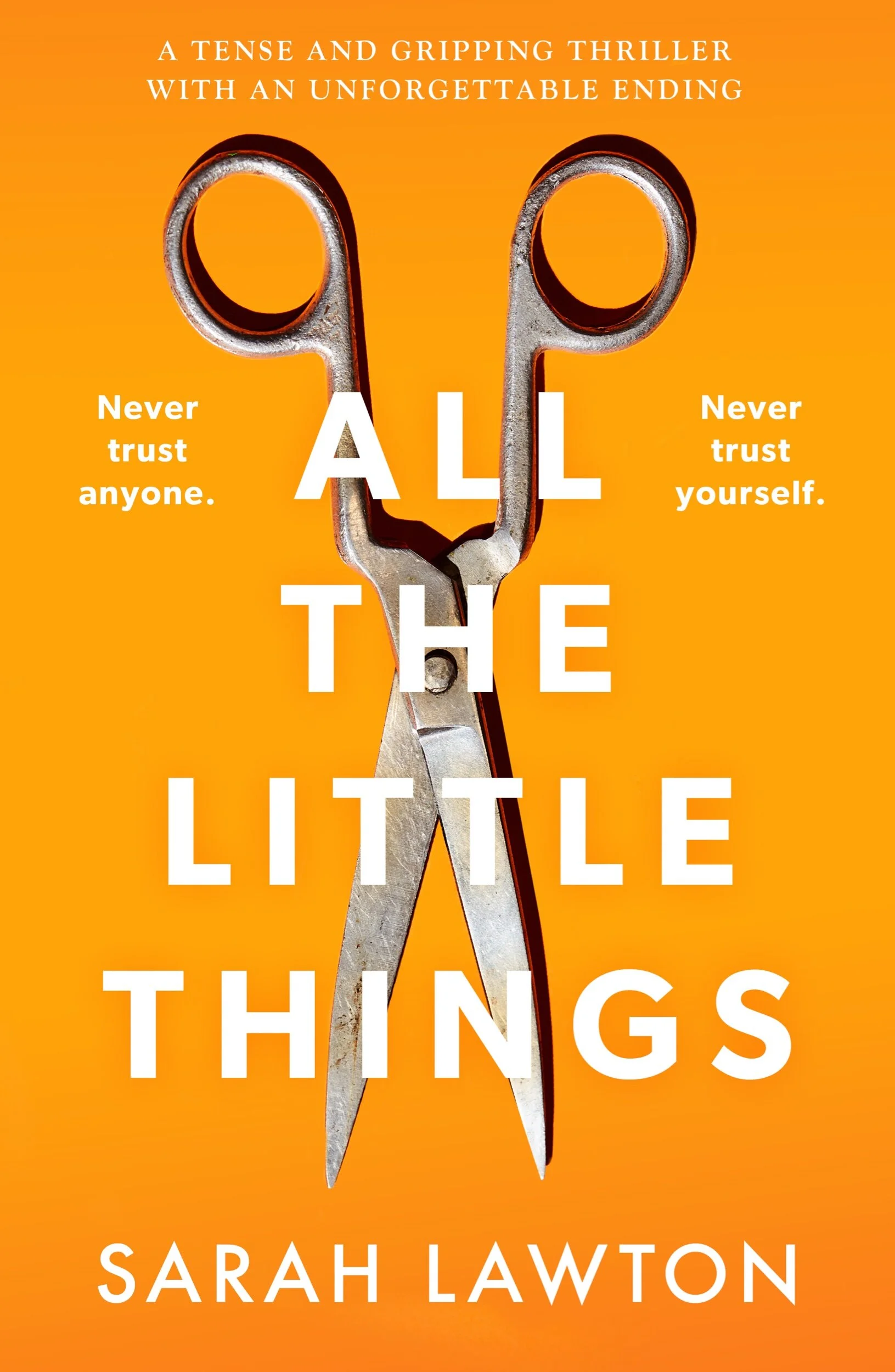 All The Little Things by Sarah Lawton