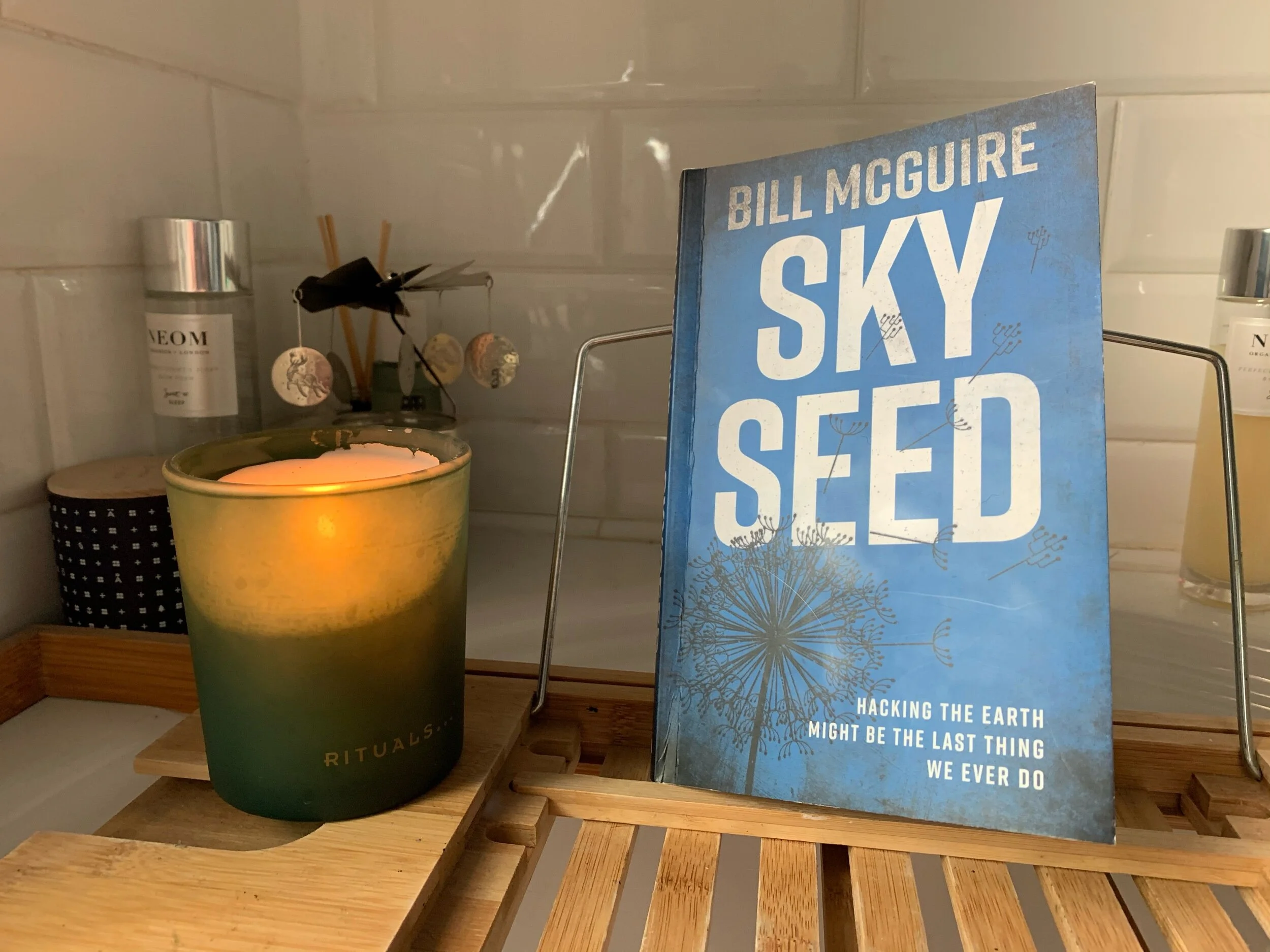 Skyseed by Bill McGuire