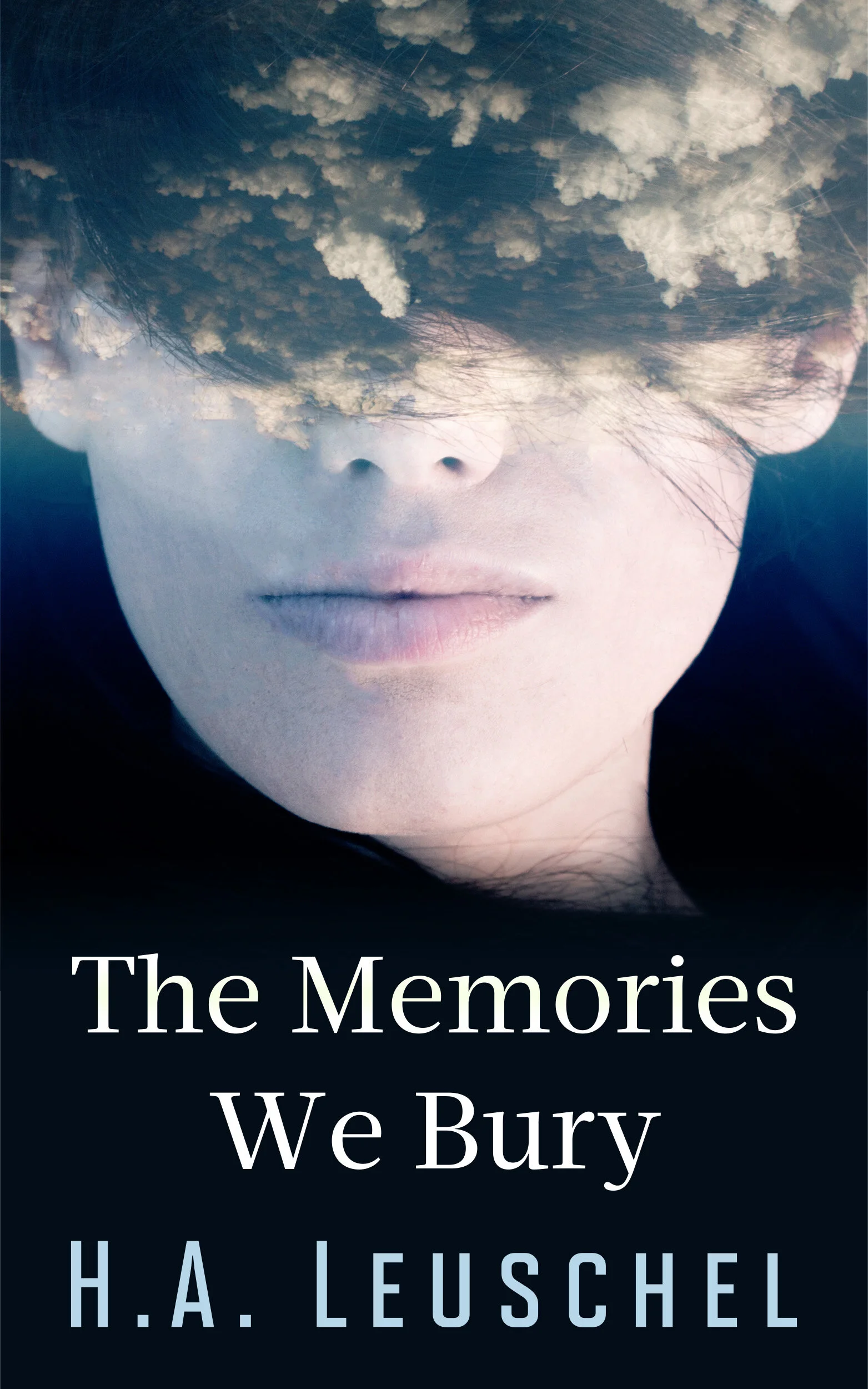 The Memories We Bury by H. A. Leuschel