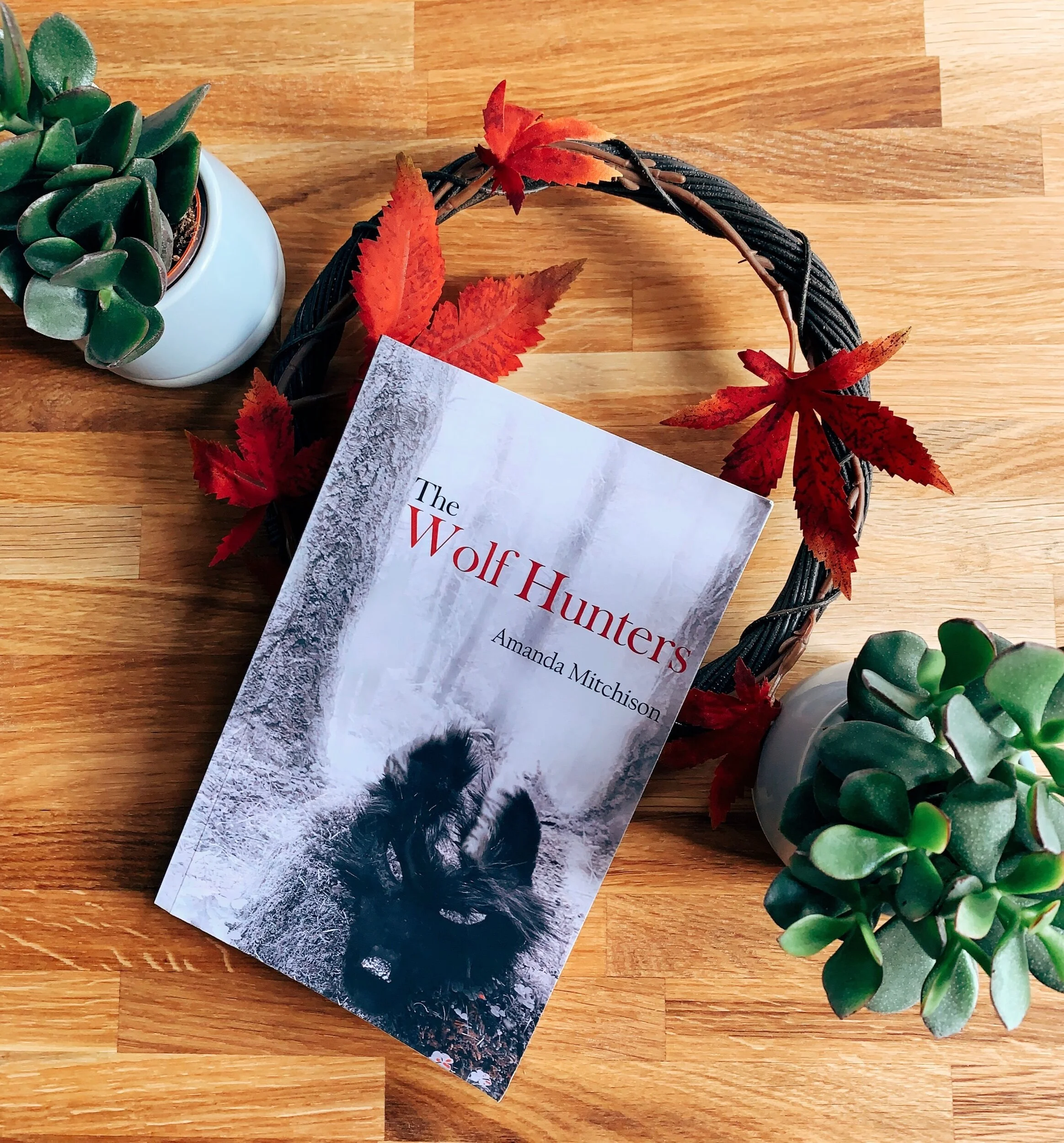 The Wolf Hunters by Amanda Mitchison