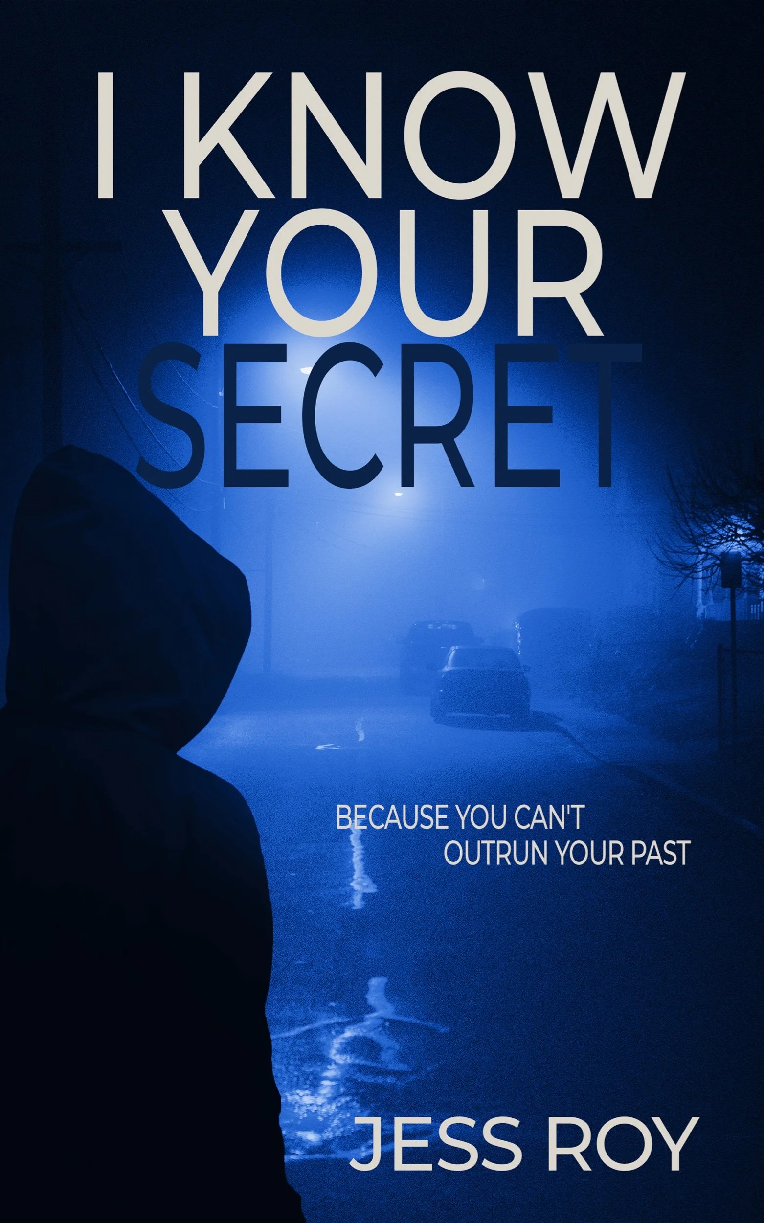 I Know Your Secret by Jess Roy