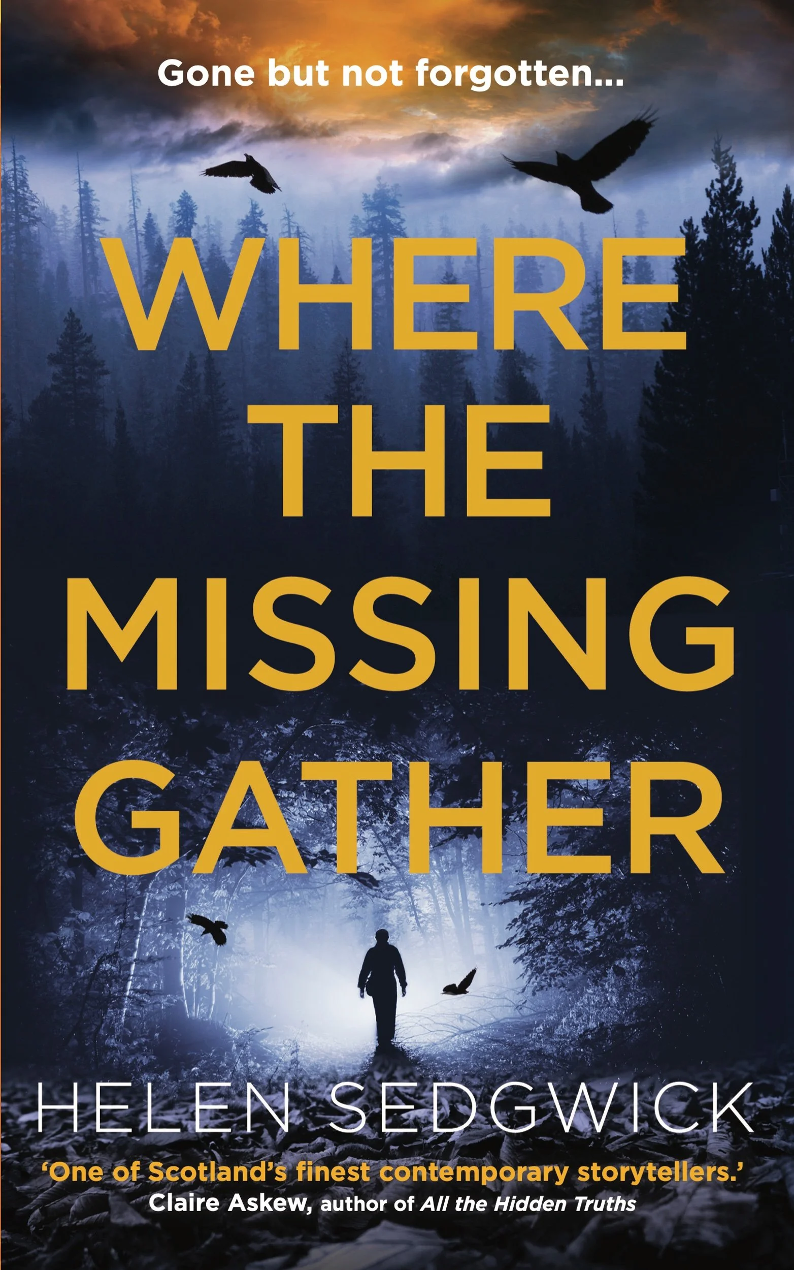 Where The Missing Gather by Helen Sedgwick