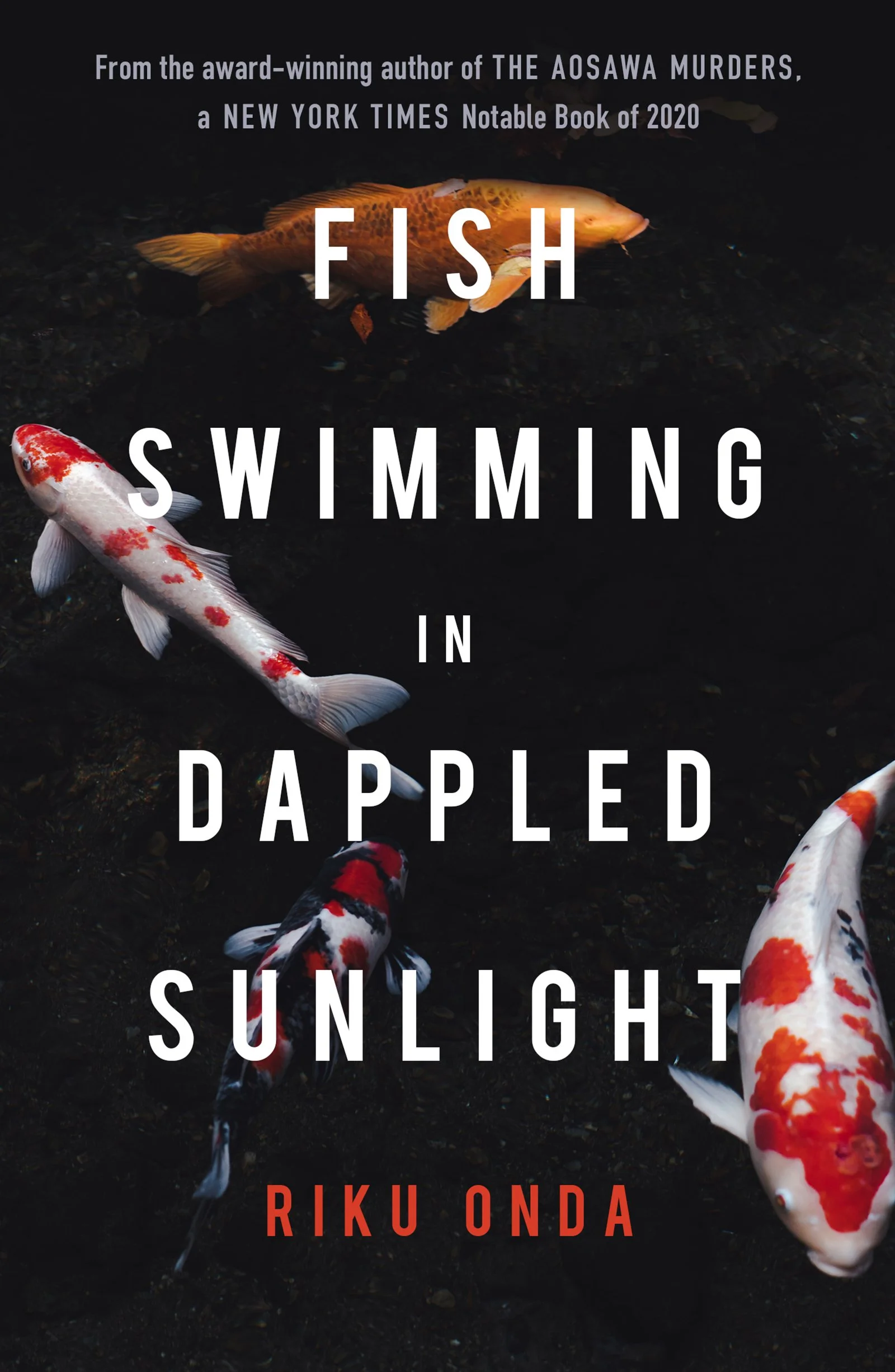 Fish Swimming In Dappled Sunlight by Riku Onda