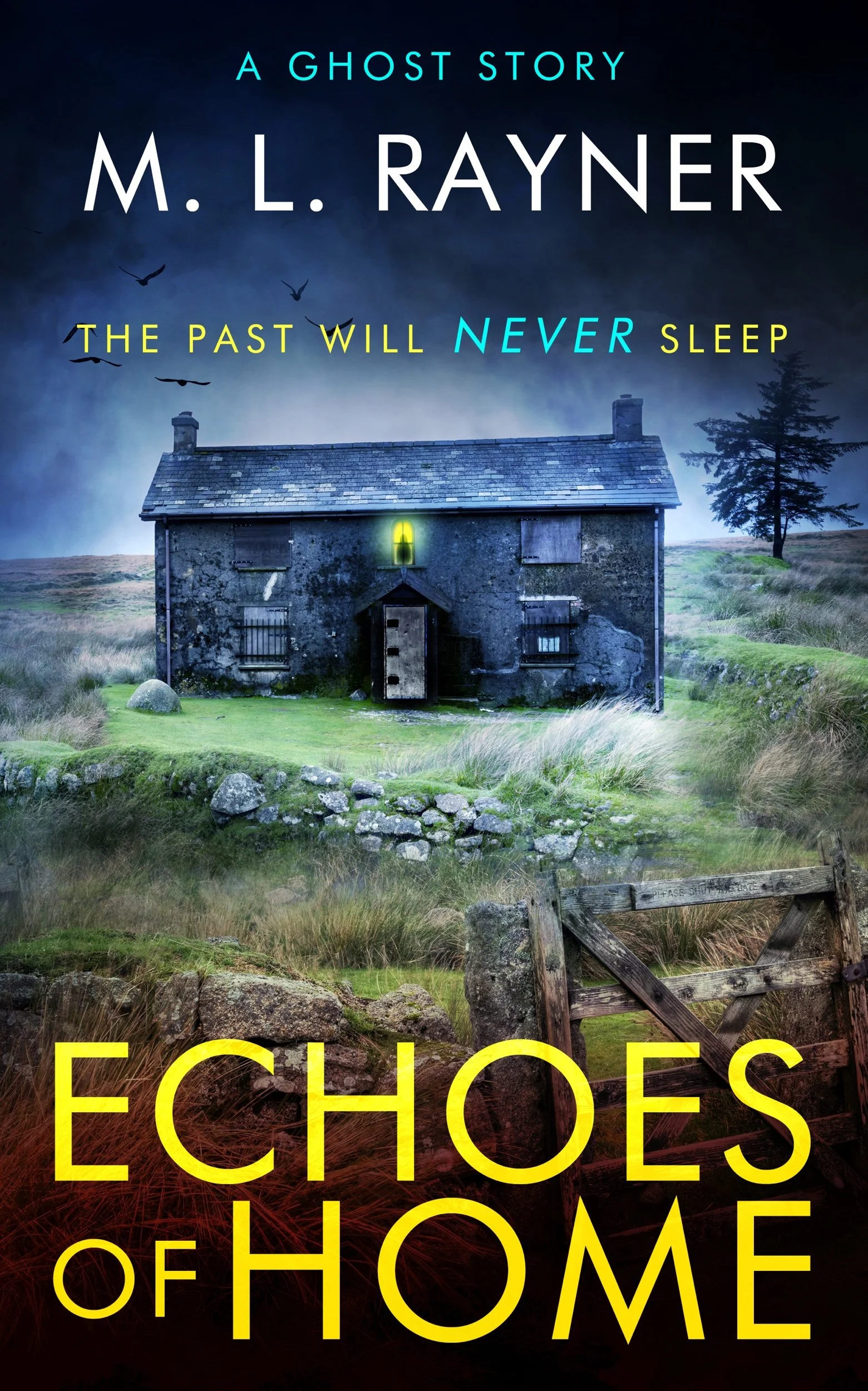 Echoes of Home by M. L. Rayner