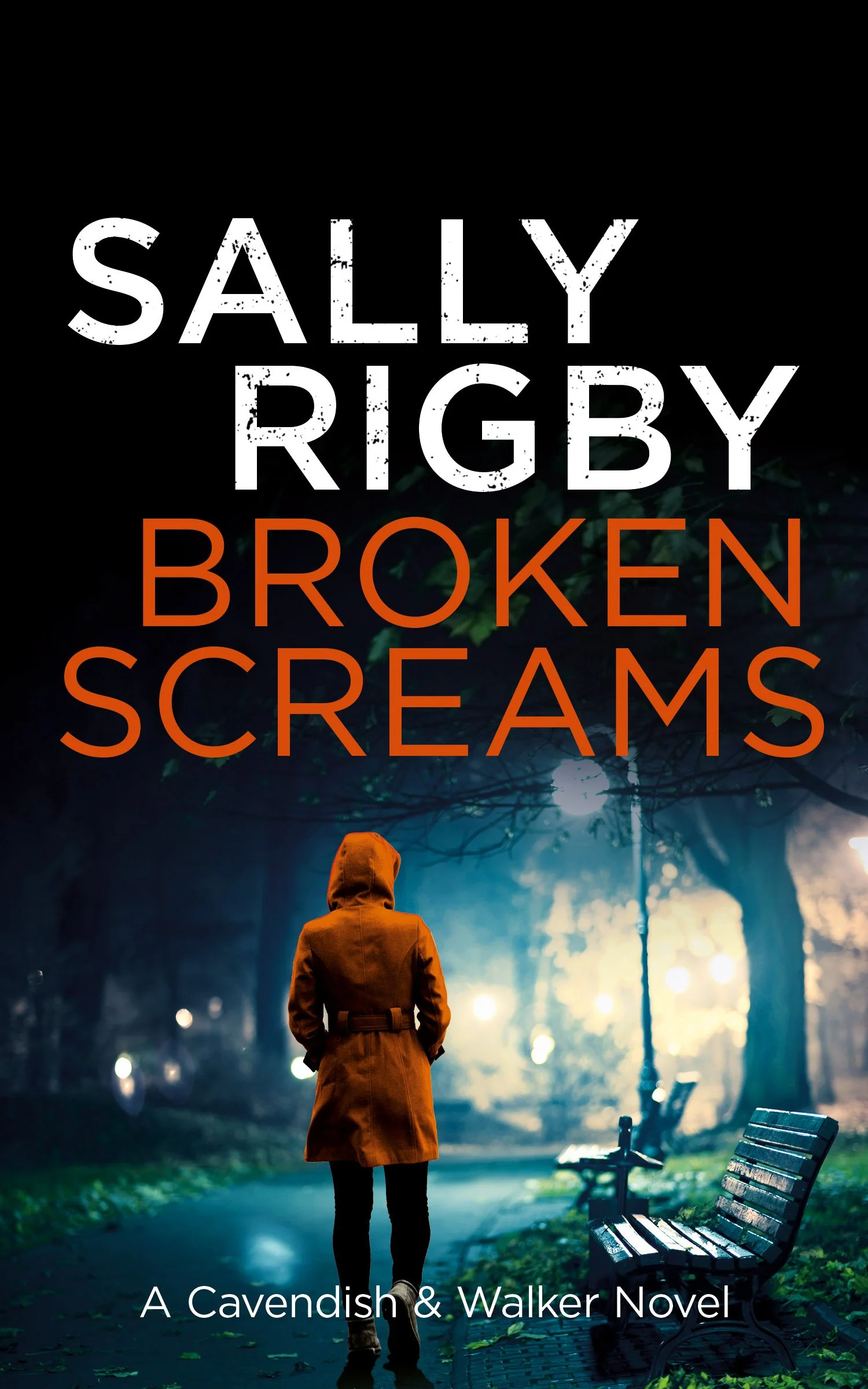 Broken Screams by Sally Rigby