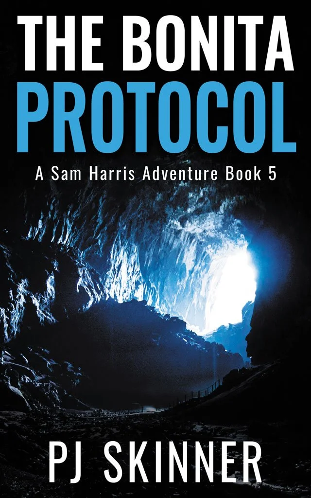 The Bonita Protocol by PJ Skinner