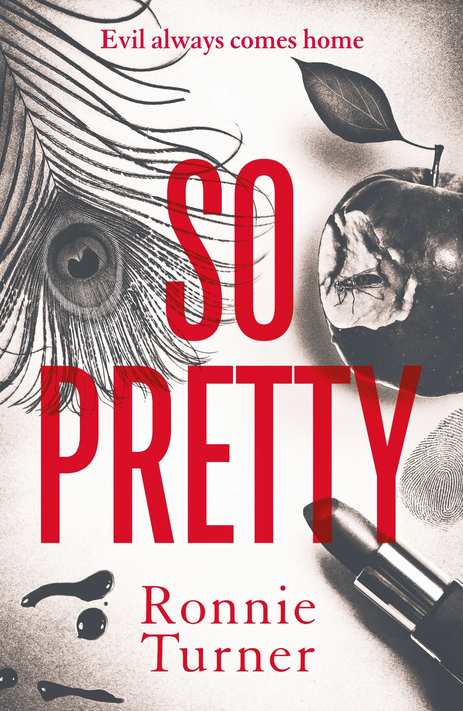 So Pretty by Ronnie Turner