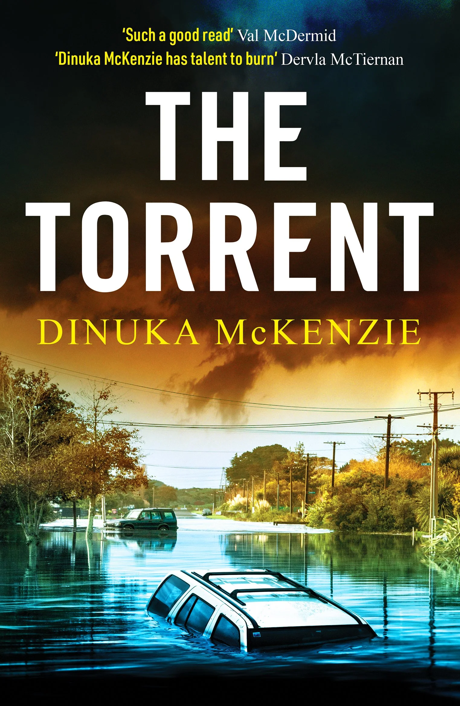 The Torrent by Dinuka McKenzie