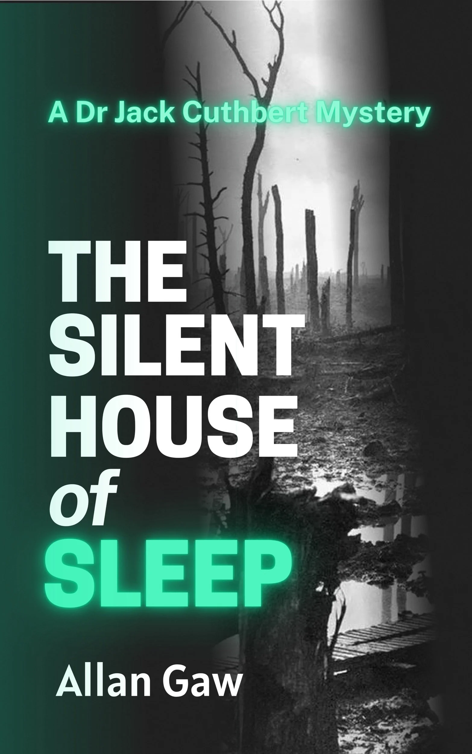 The Silent House of Sleep by Allan Gaw