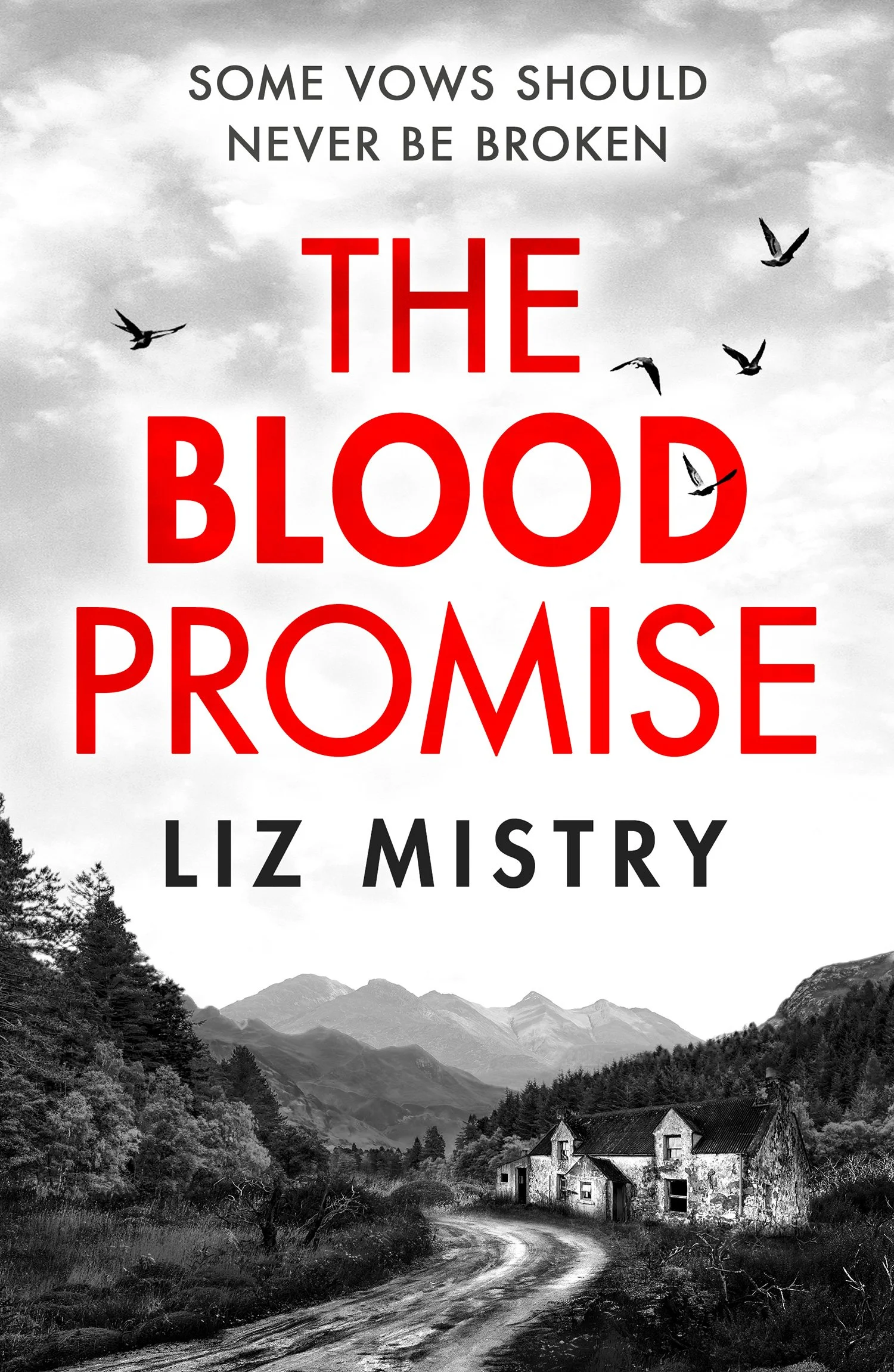 The Blood Promise by Liz Mistry