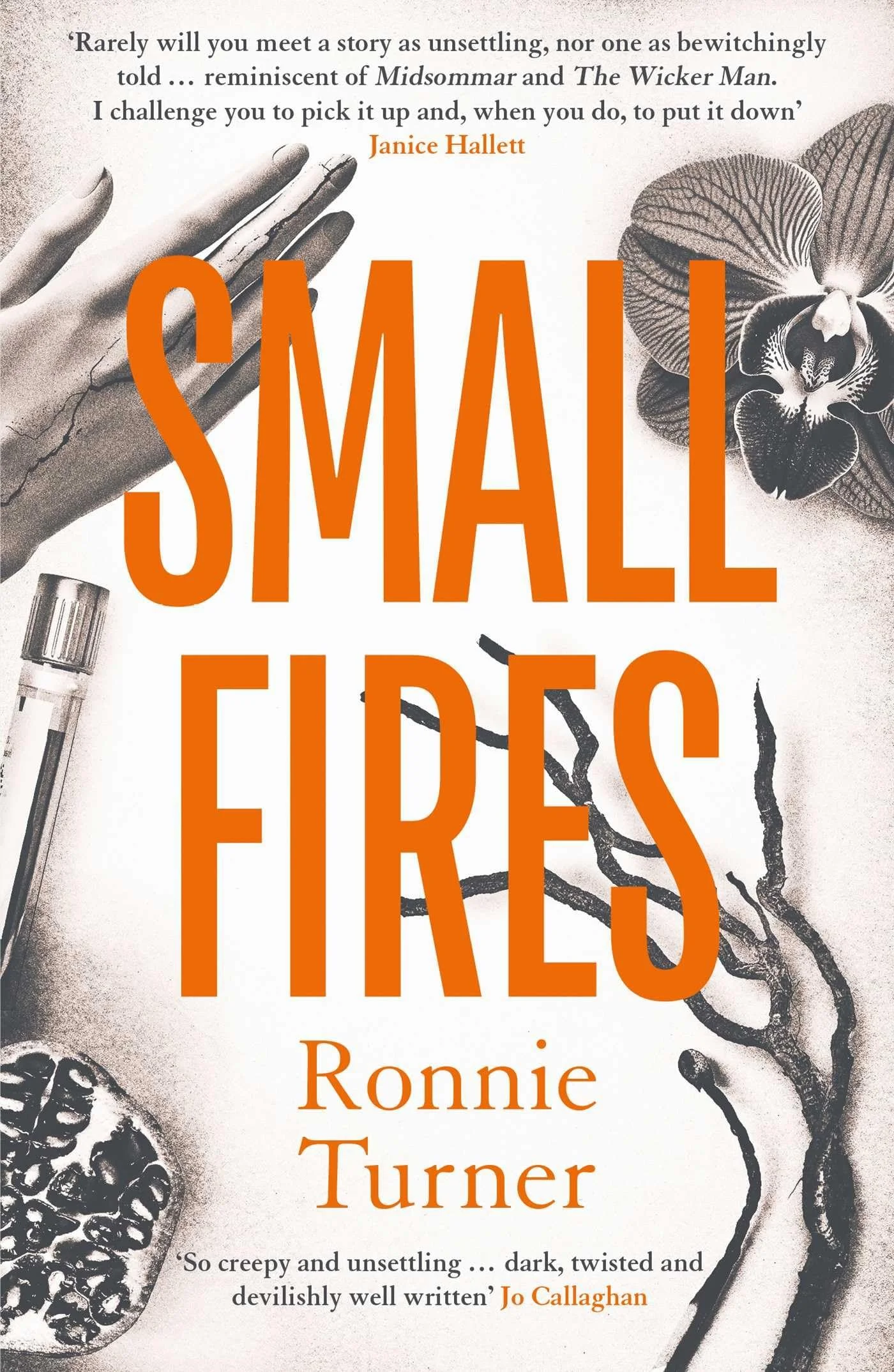 Small Fires by Ronnie Turner