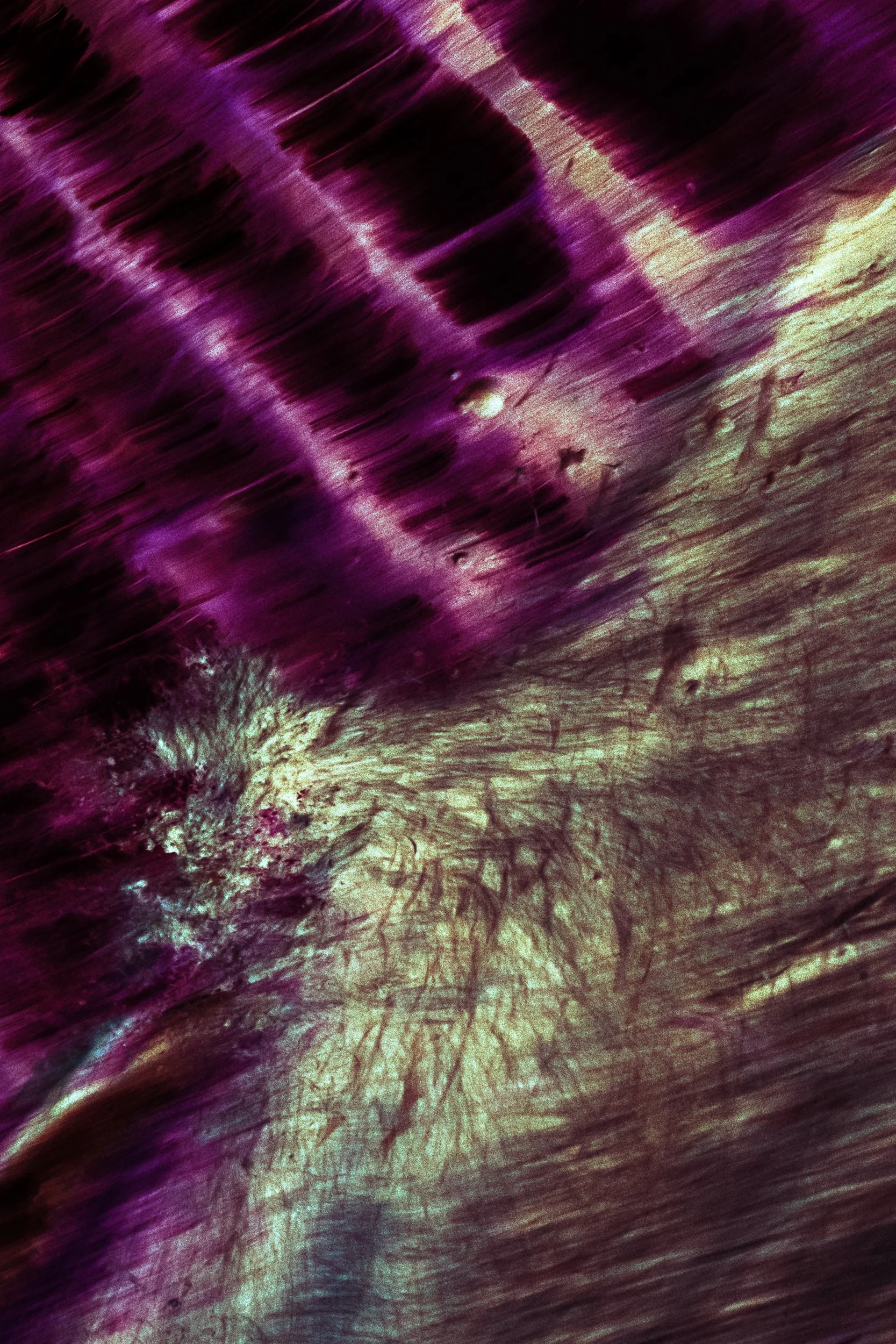 PaulKalifatidi_WTDH_TEST-23719-3.jpg