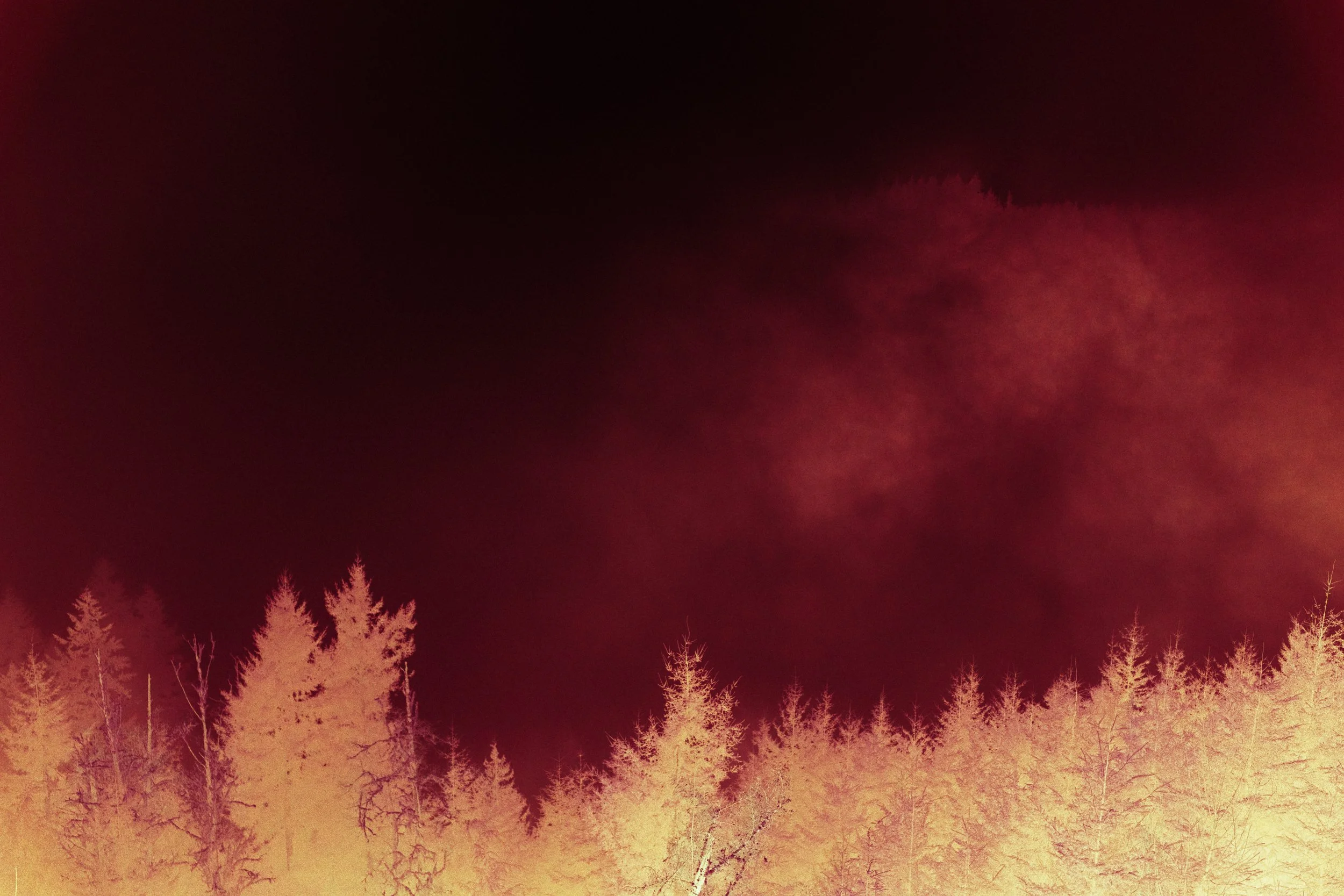 PaulKalifatidi_WTDH_TEST-24411-3.jpg