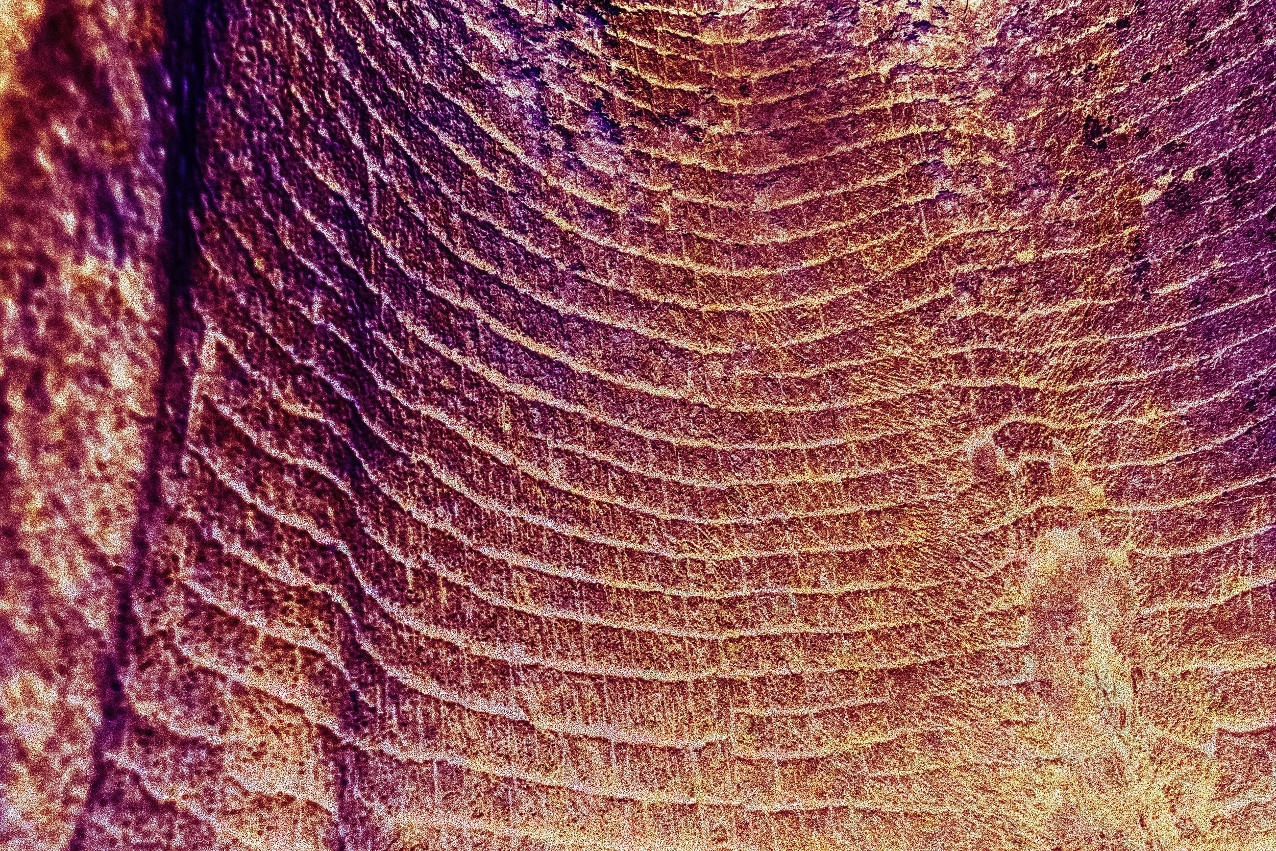 PaulKalifatidi_WTDH_TEST-24608-3.jpg