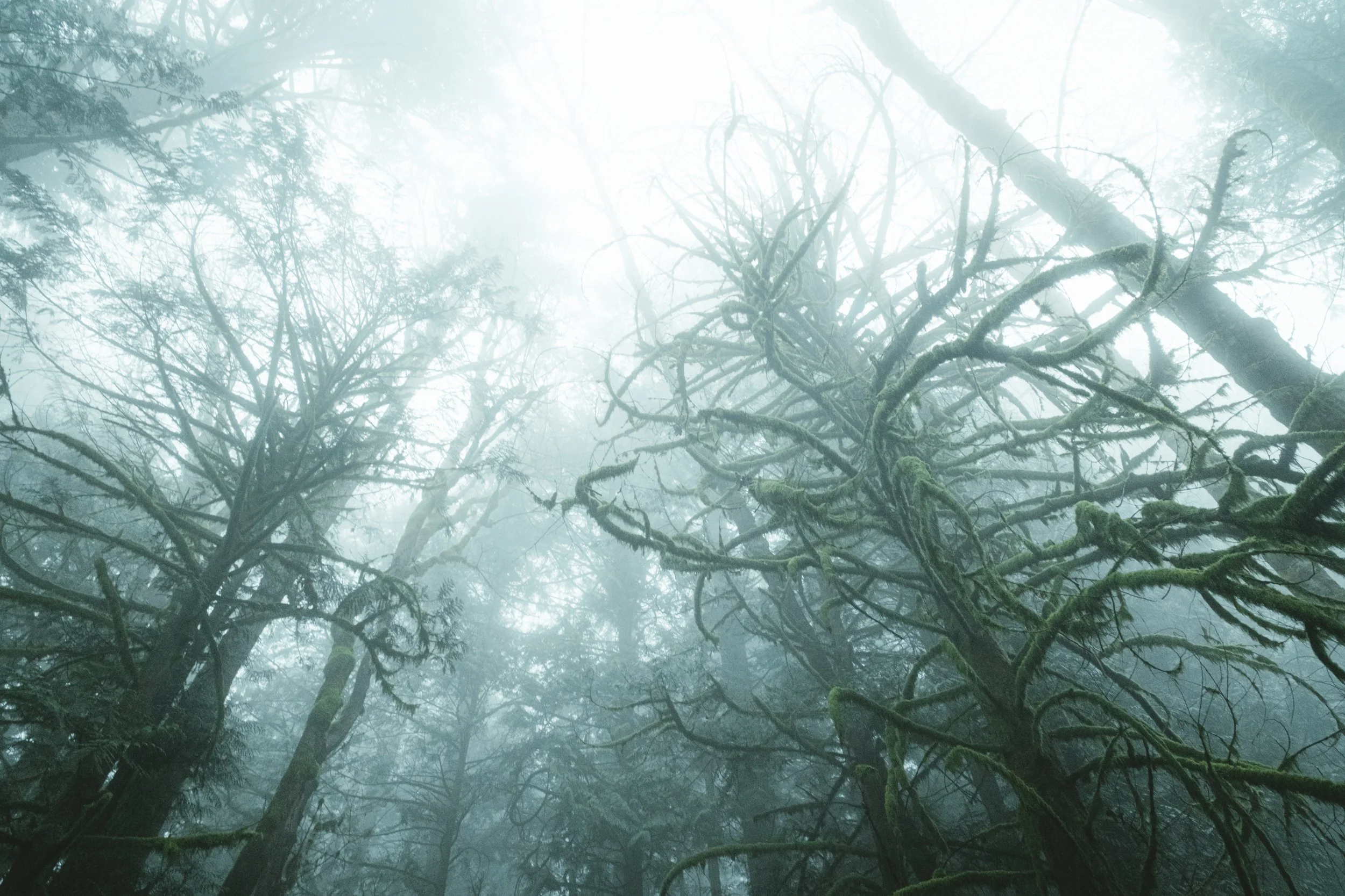 PaulKalifatidi_WTDH_TEST-24912.jpg