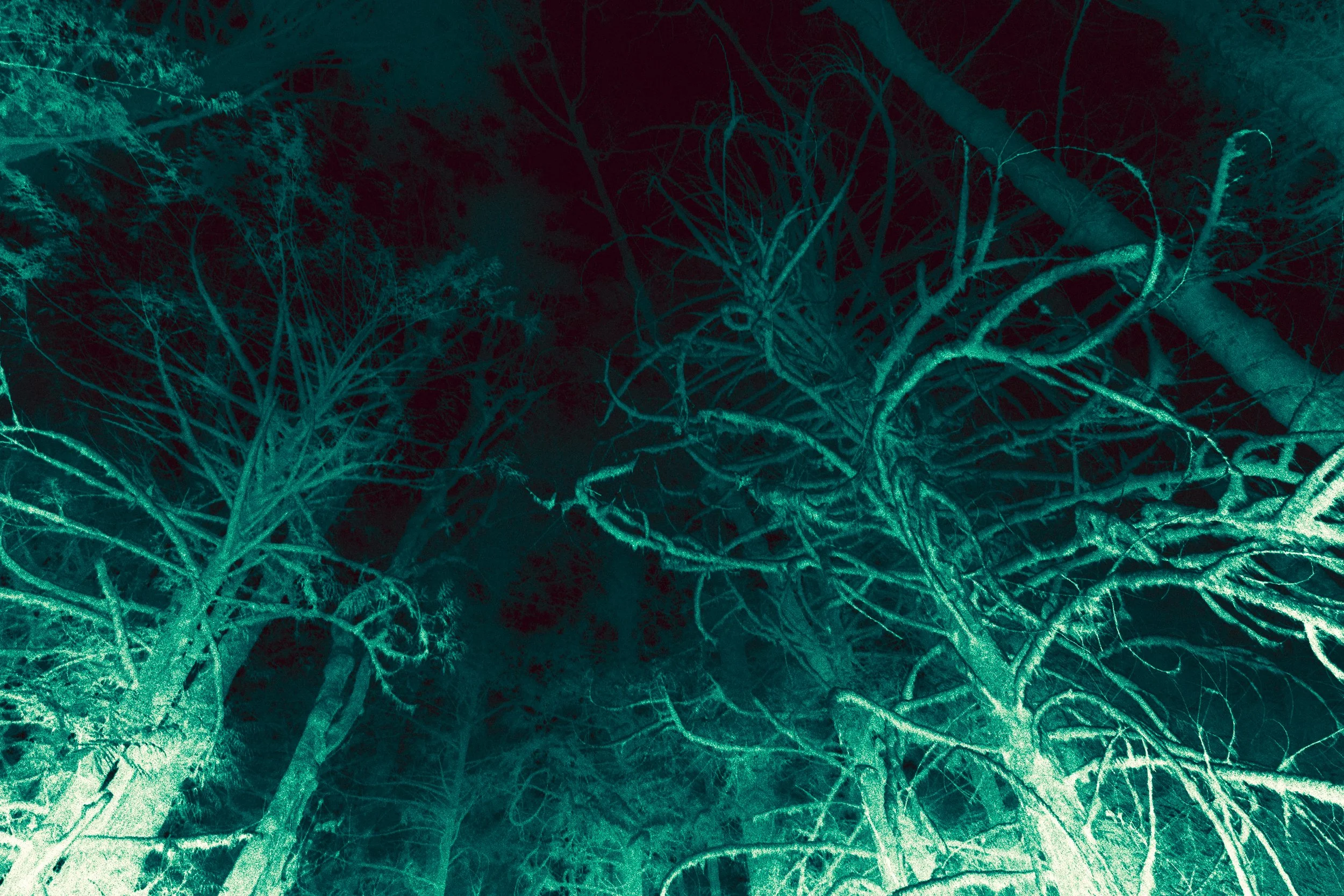 PaulKalifatidi_WTDH_TEST-24912-2.jpg