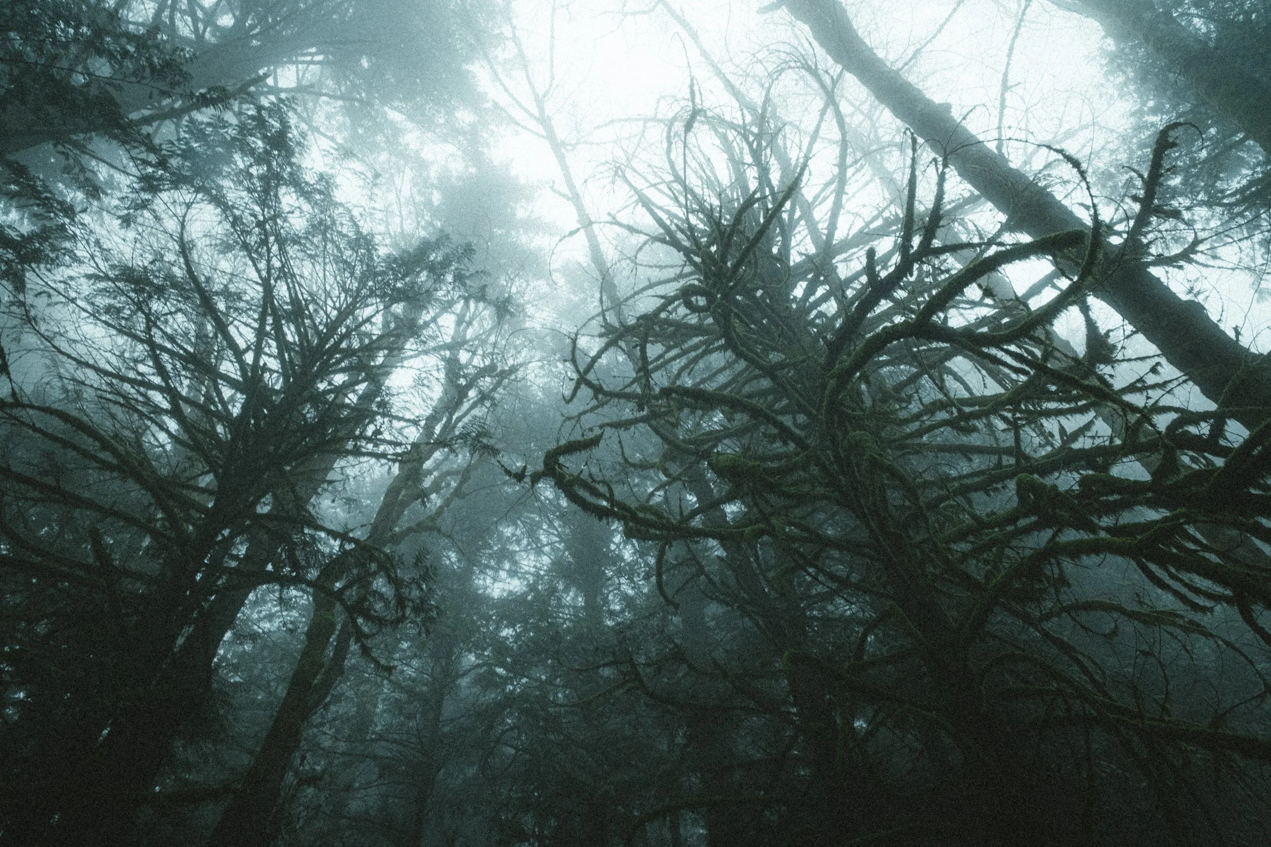PaulKalifatidi_WTDH_TEST-24912-3.jpg