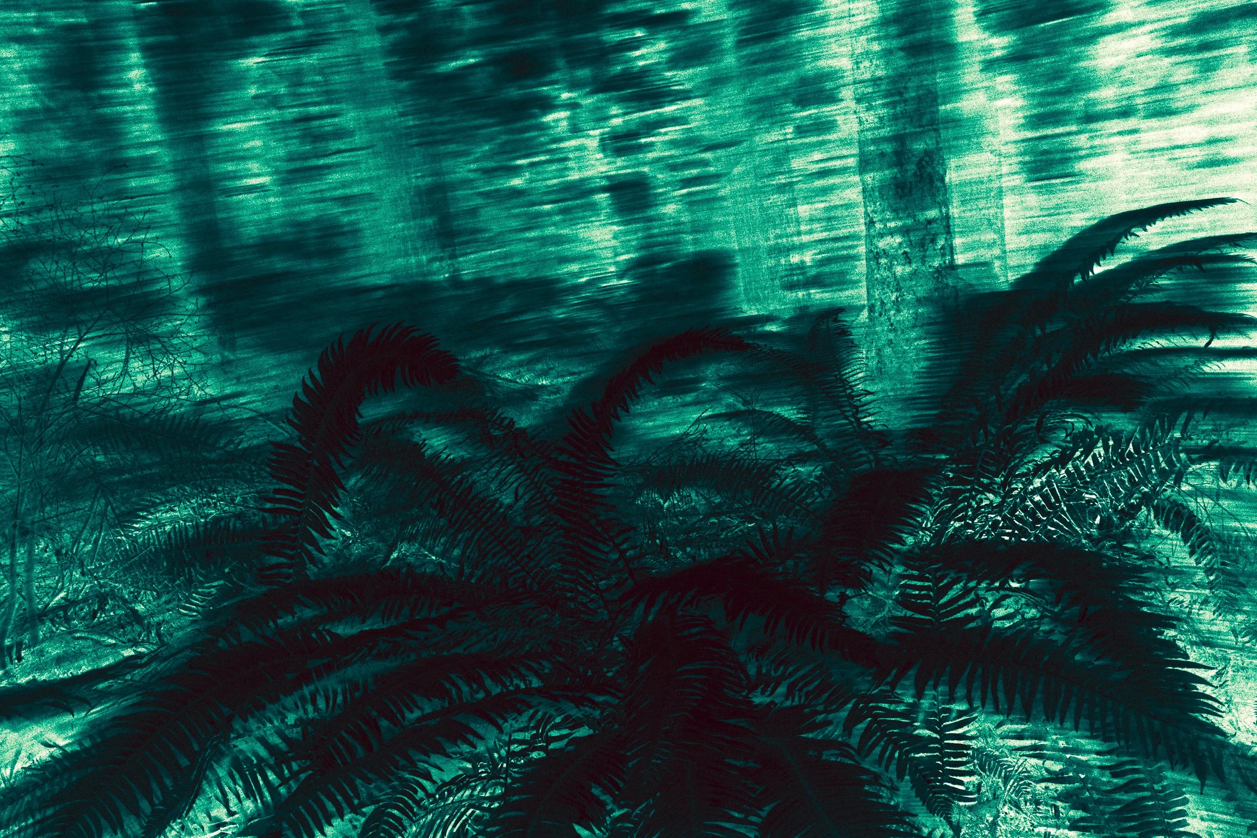 PaulKalifatidi_WTDH_TEST-25348.jpg