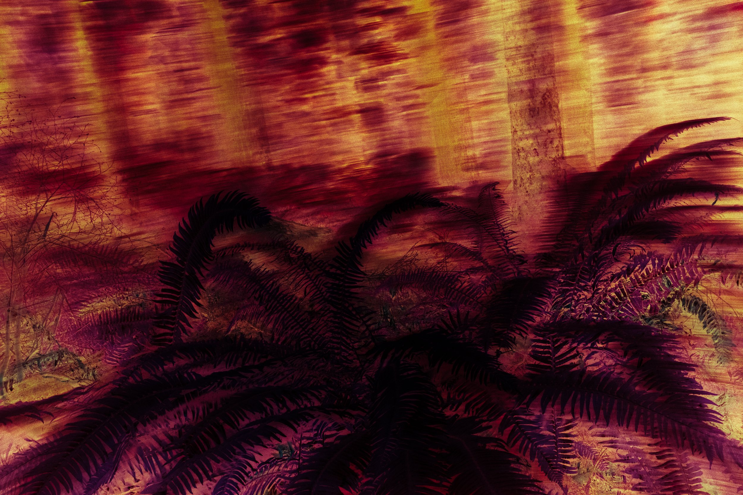 PaulKalifatidi_WTDH_TEST-25348-3.jpg