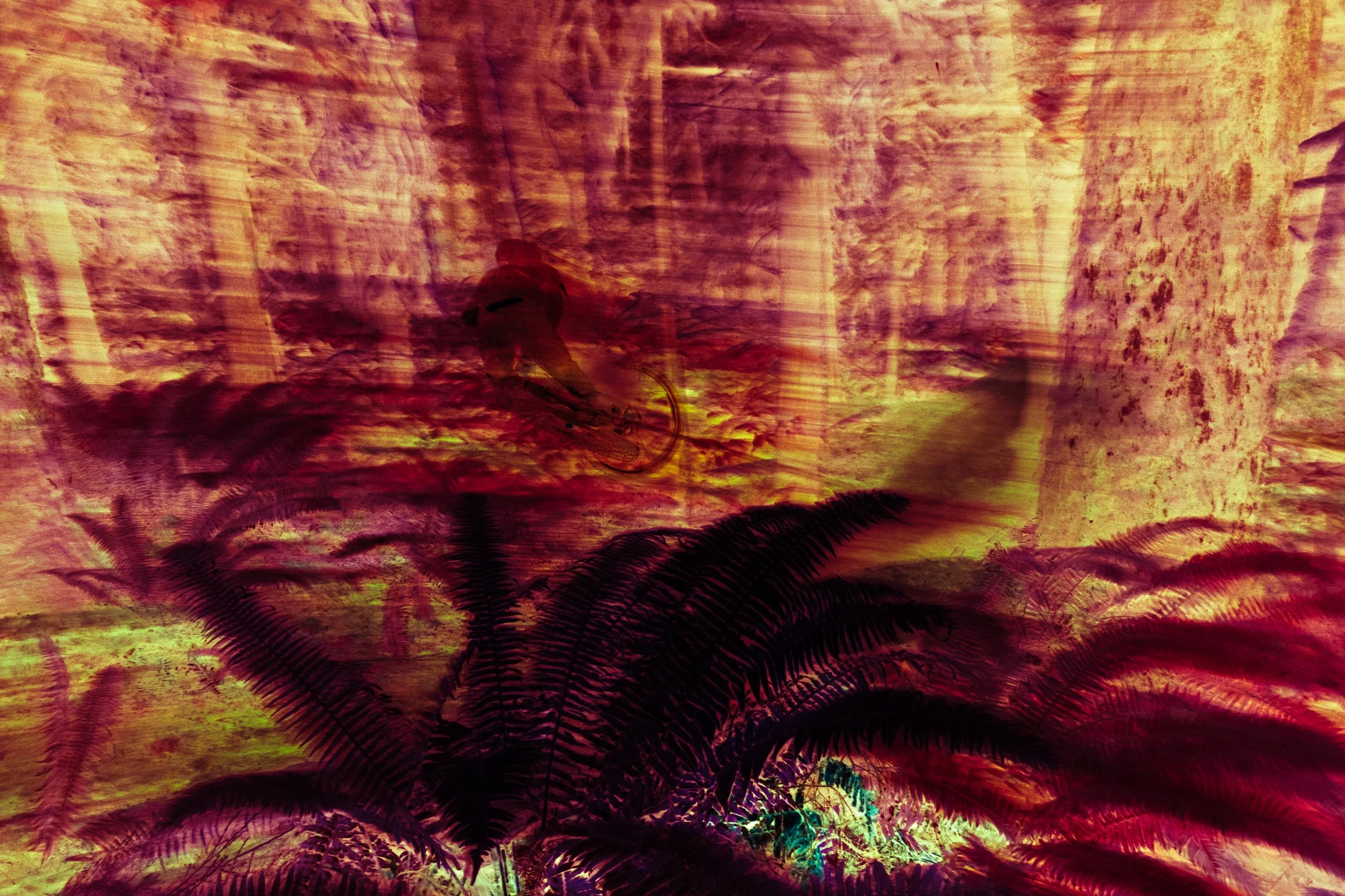 PaulKalifatidi_WTDH_TEST-25370-3.jpg