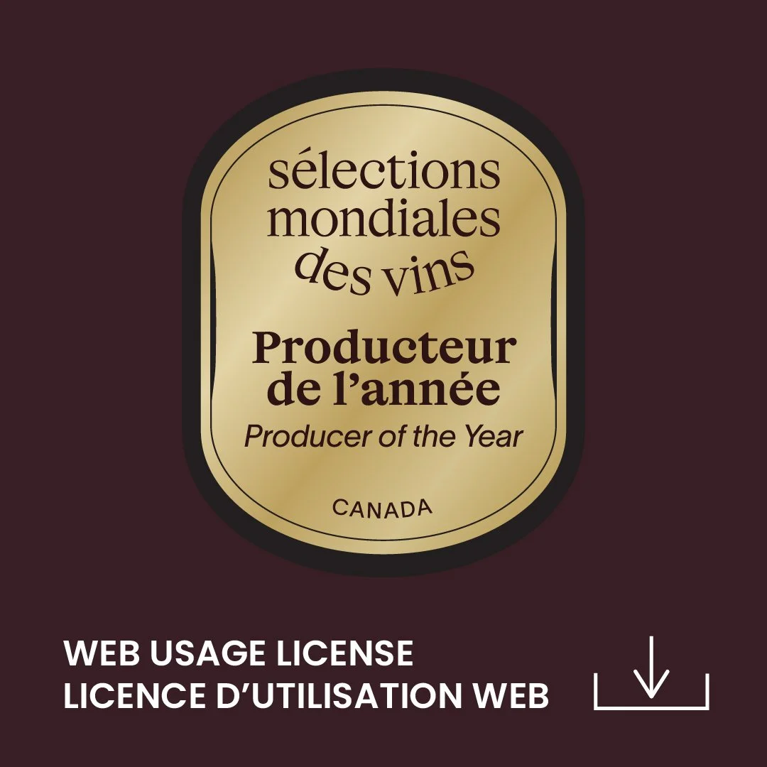 SMV_Thumbnails site web 2024-05-05.jpg