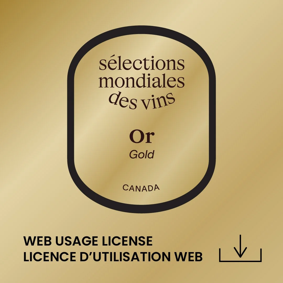 SMV_Thumbnails site web 2024-02.jpg