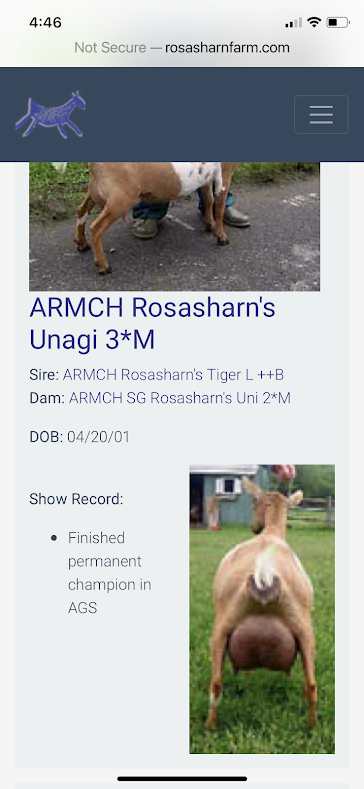 IMG_6316.PNG