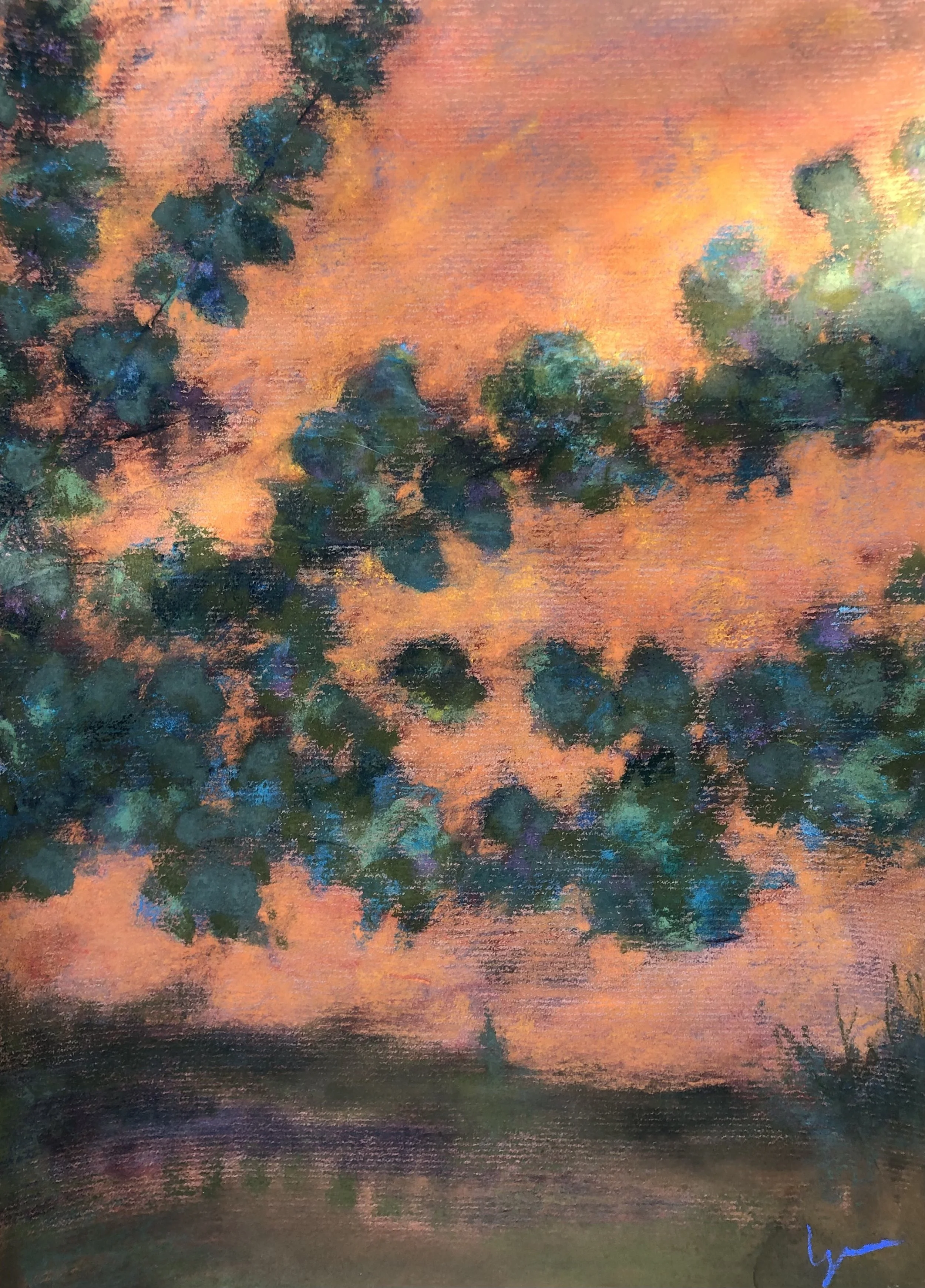 Eucalyptus in the Evening 