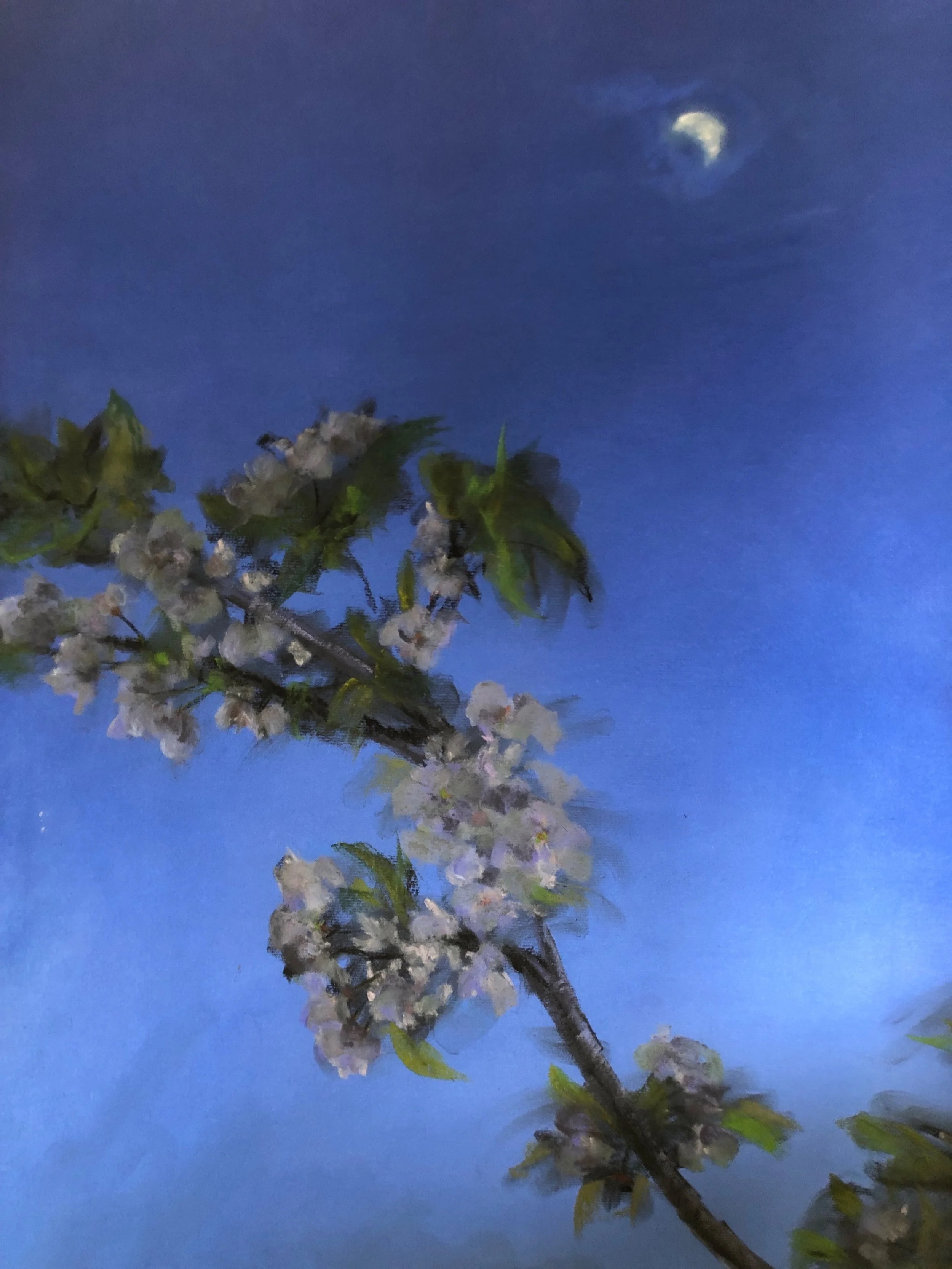 Moon Blossoms