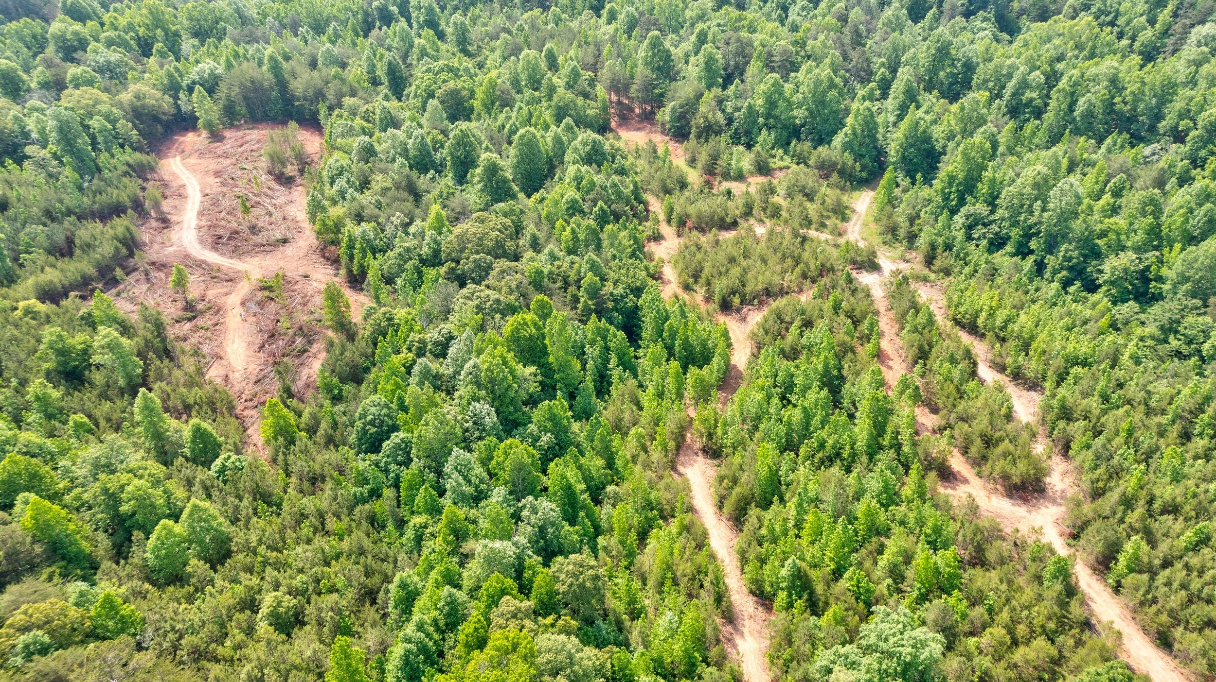 Land for Sale Castleberry Bridge Road, Dawsonville GA — North