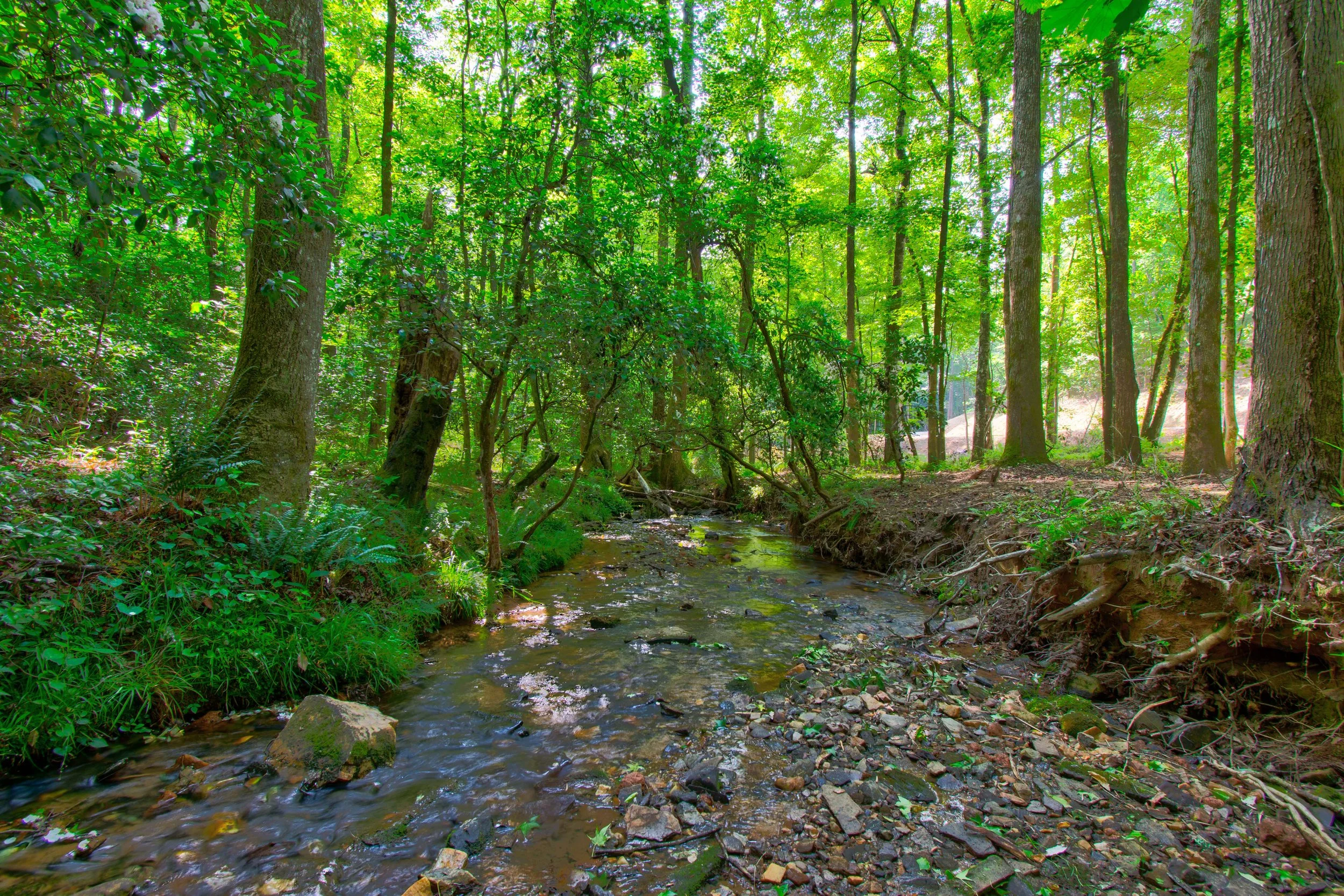 Land for Sale Castleberry Bridge Road, Dawsonville GA — North