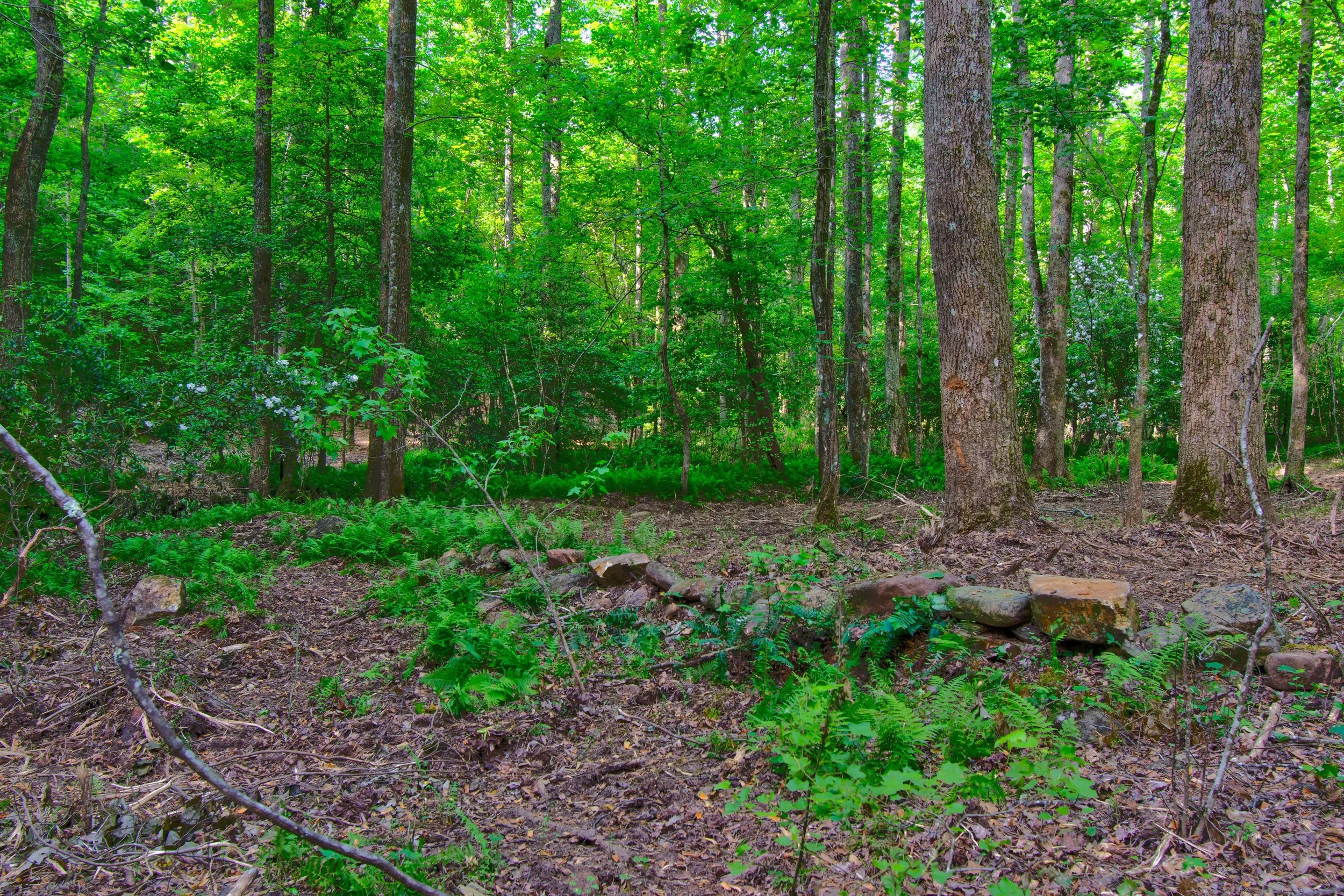 Land for Sale Castleberry Bridge Road, Dawsonville GA — North
