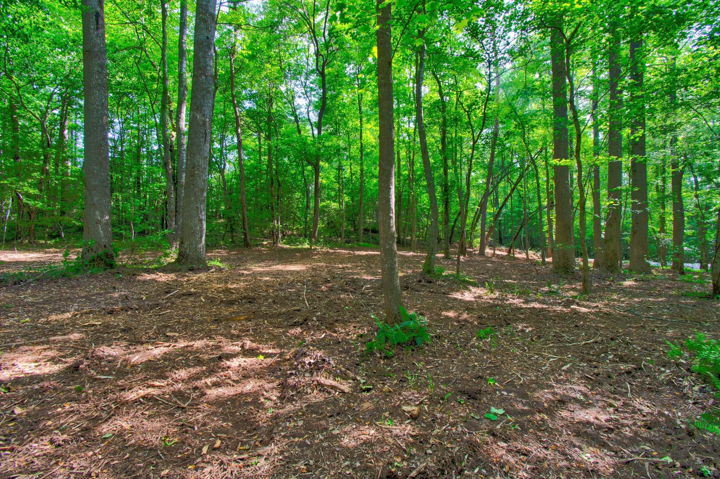 Land for Sale Castleberry Bridge Road, Dawsonville GA — North