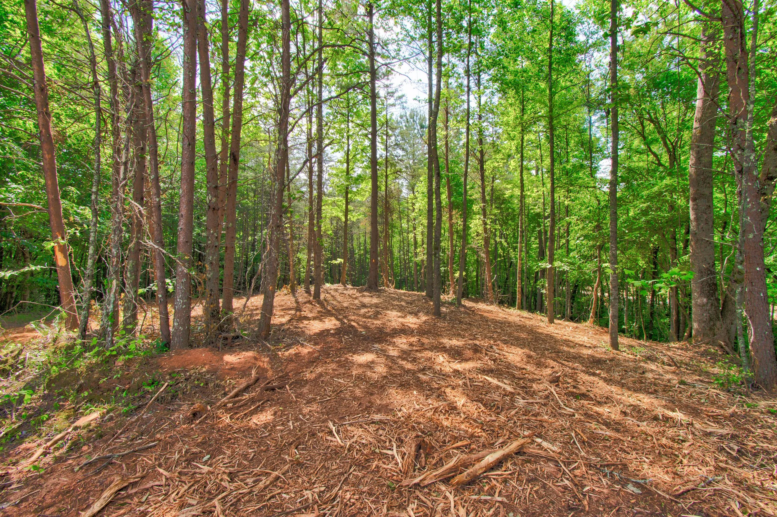 Land for Sale Castleberry Bridge Road, Dawsonville GA — North