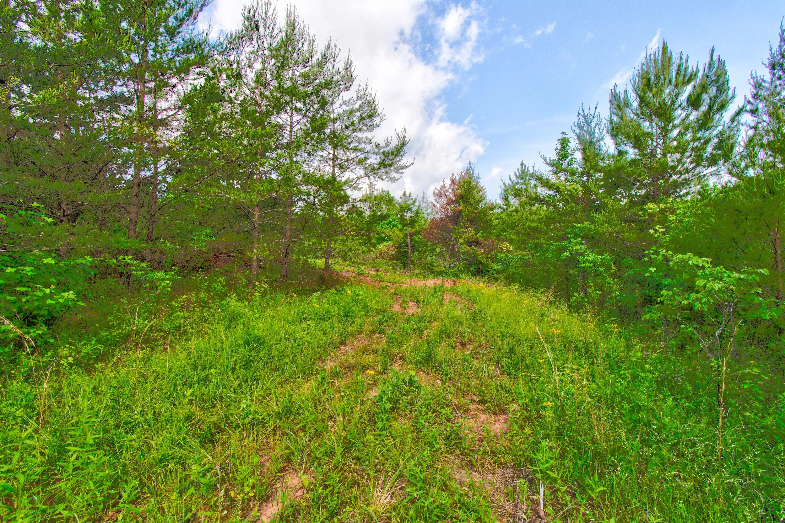 Land for Sale Castleberry Bridge Road, Dawsonville GA — North