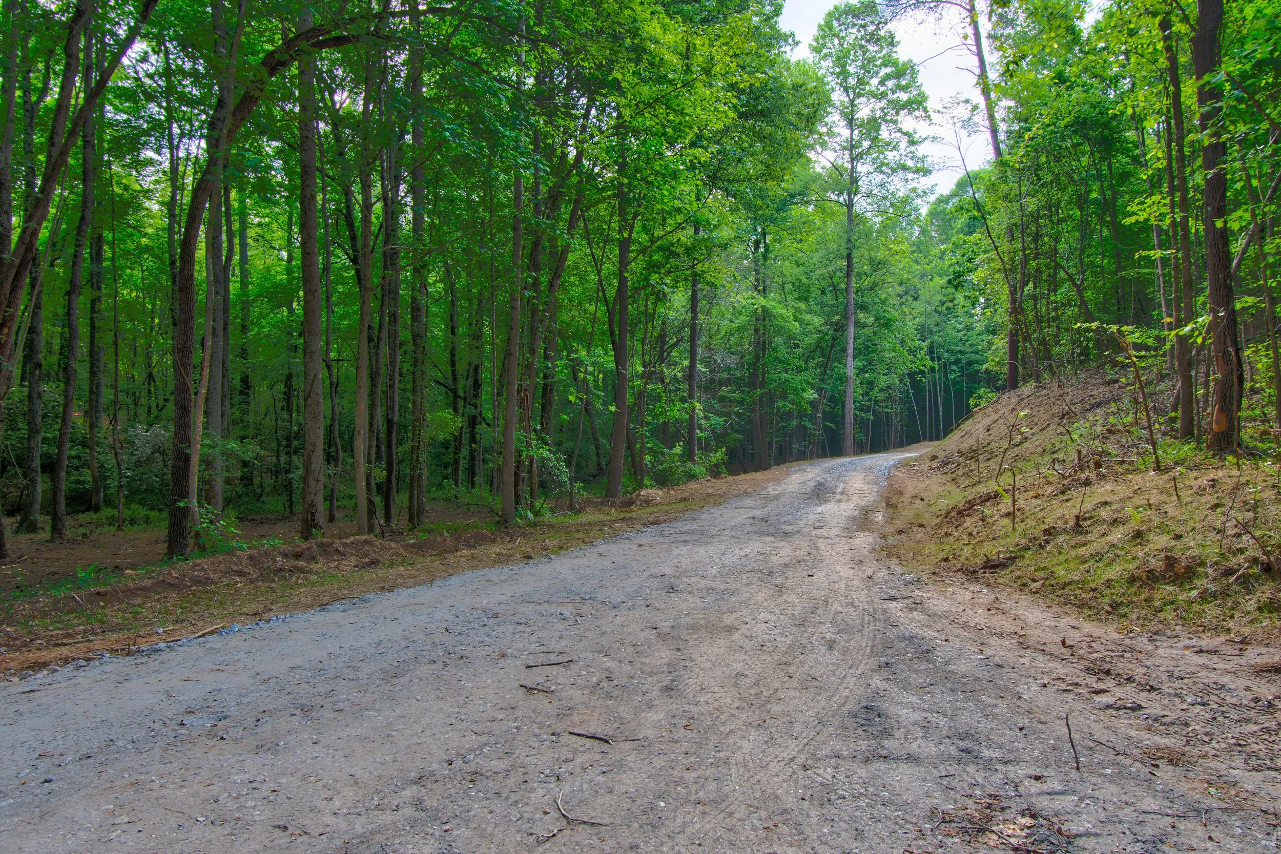 Land for Sale Castleberry Bridge Road, Dawsonville GA — North