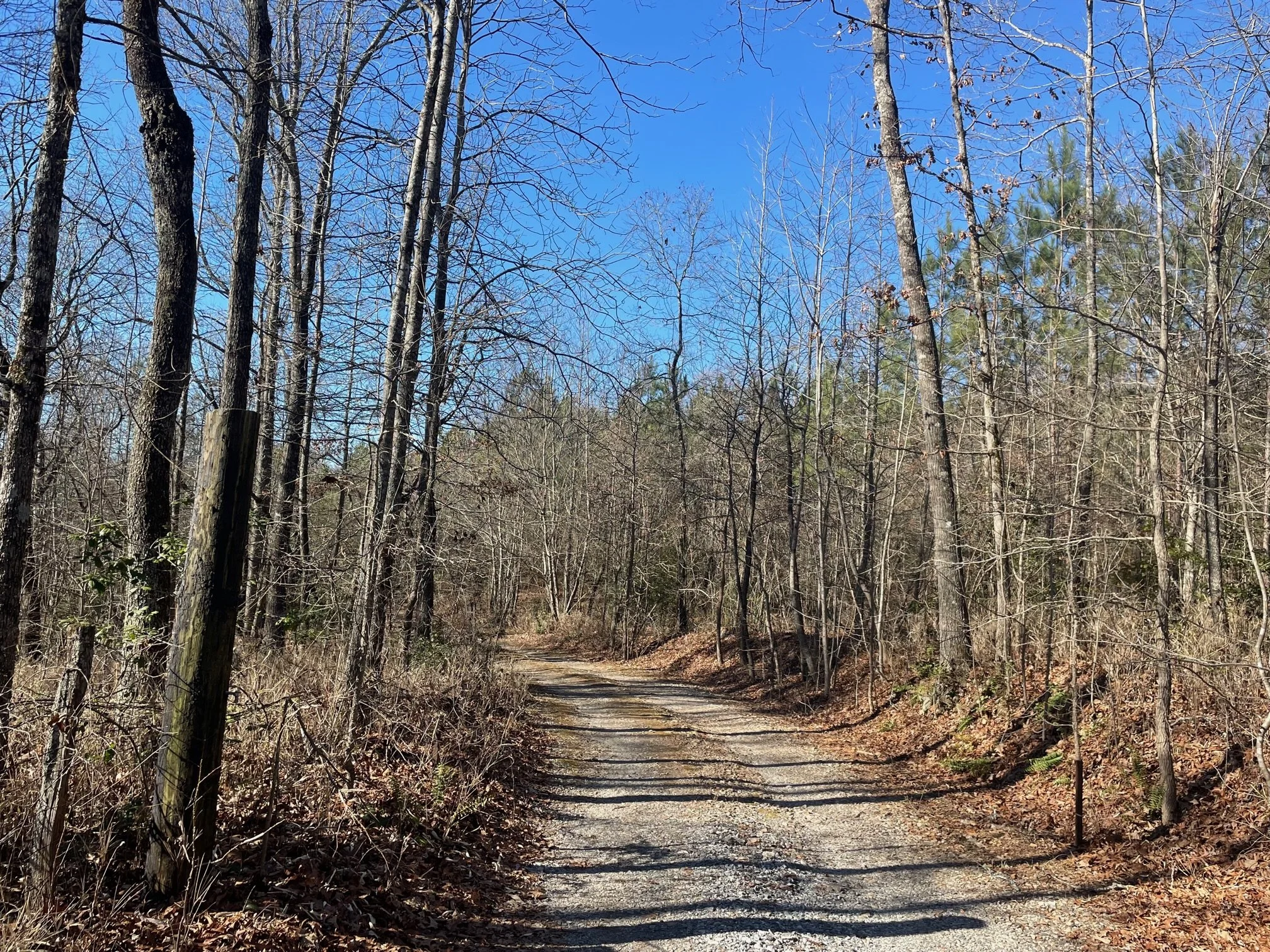 Land for Sale Mill Creek Road, Dahlonega GA — North Lakeside Realty