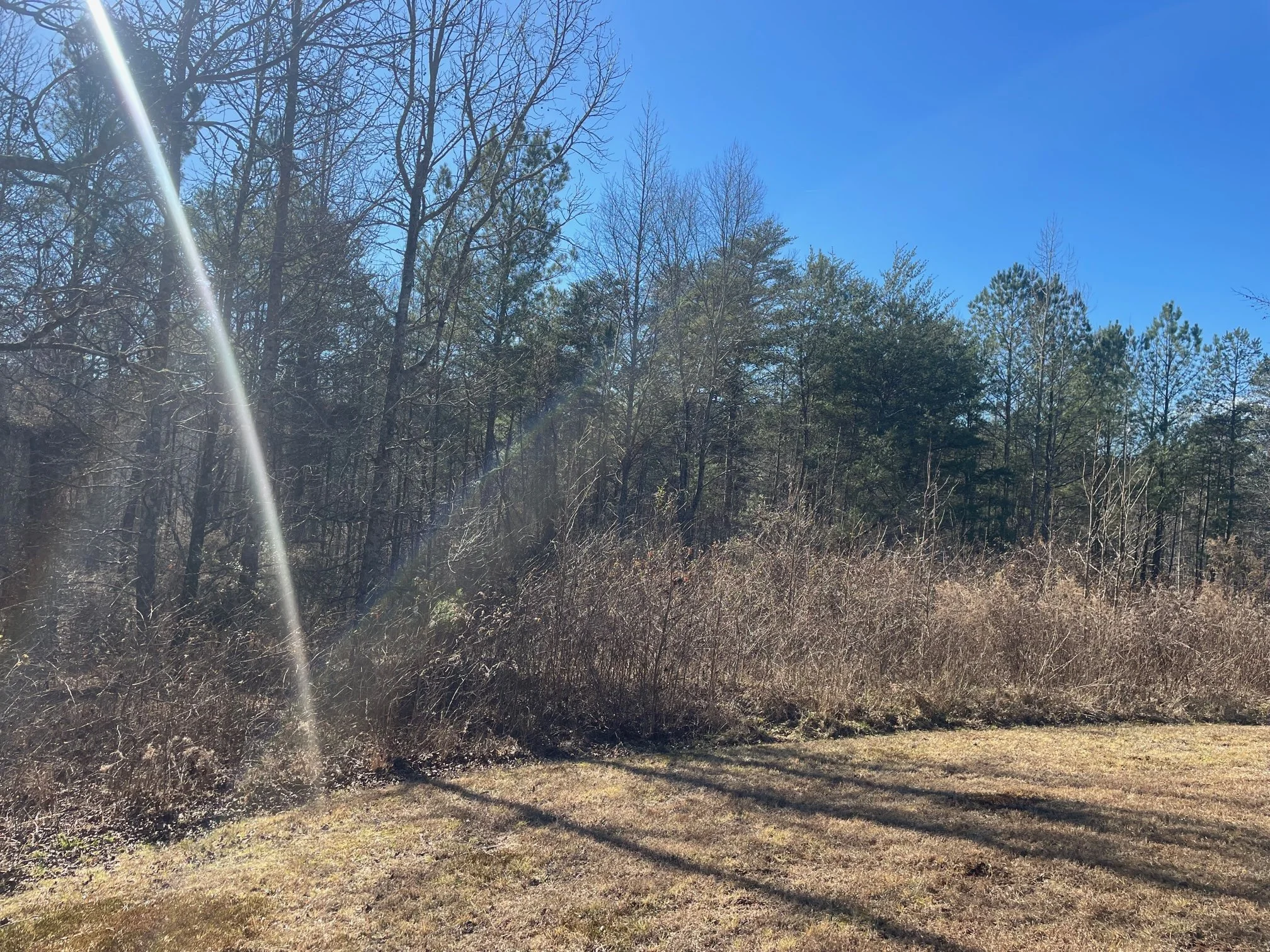 Land for Sale Mill Creek Road, Dahlonega GA — North Lakeside Realty