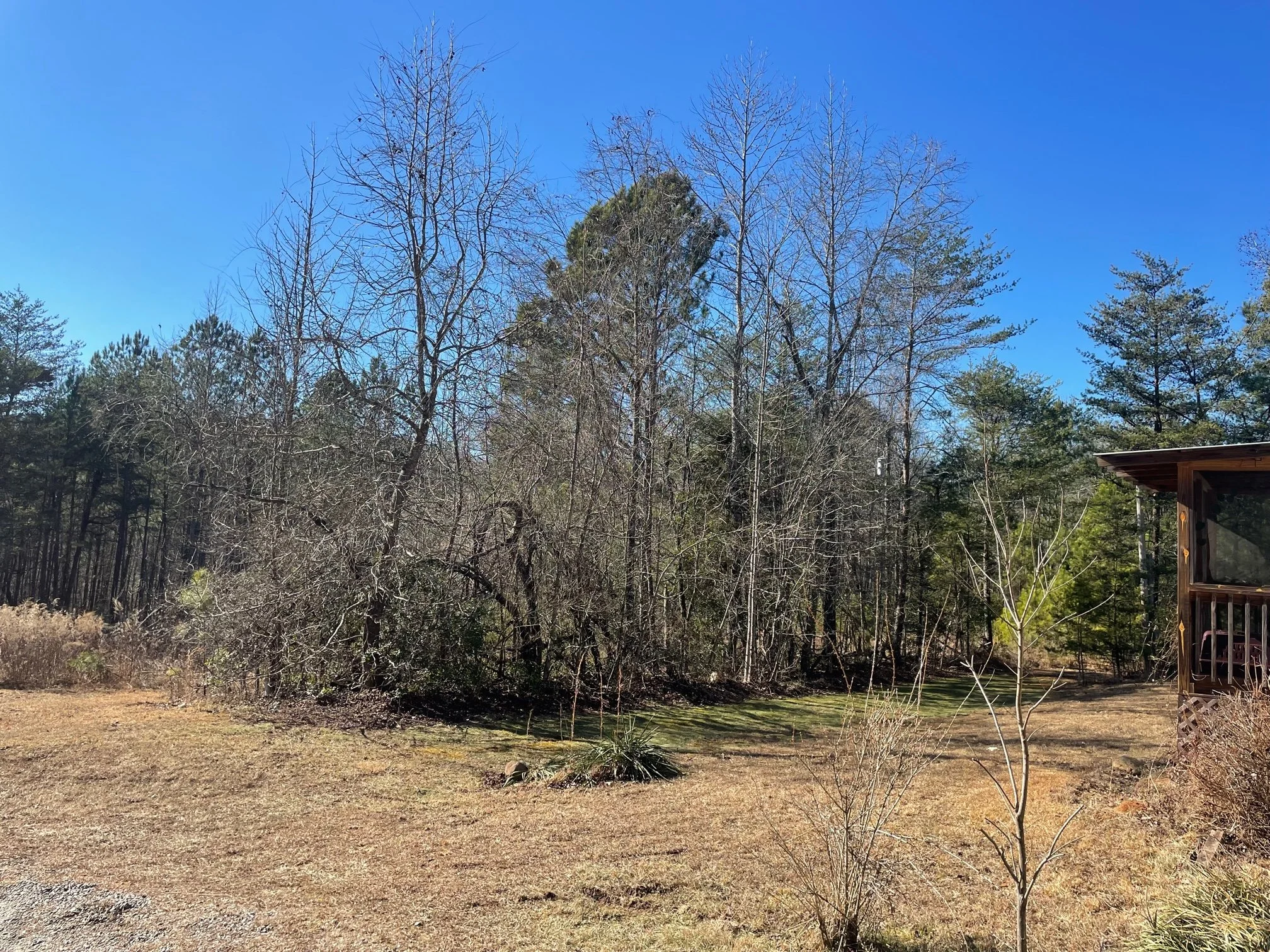 Land for Sale Mill Creek Road, Dahlonega GA — North Lakeside Realty