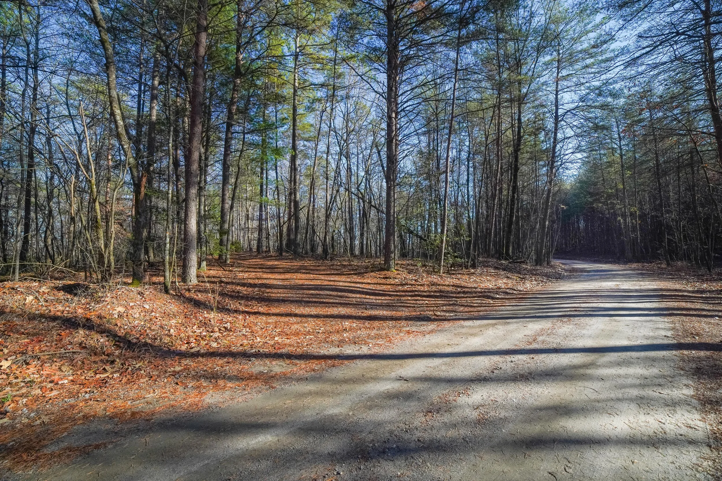 Land for Sale Blue Ridge Mountain Views, Dahlonega GA — North