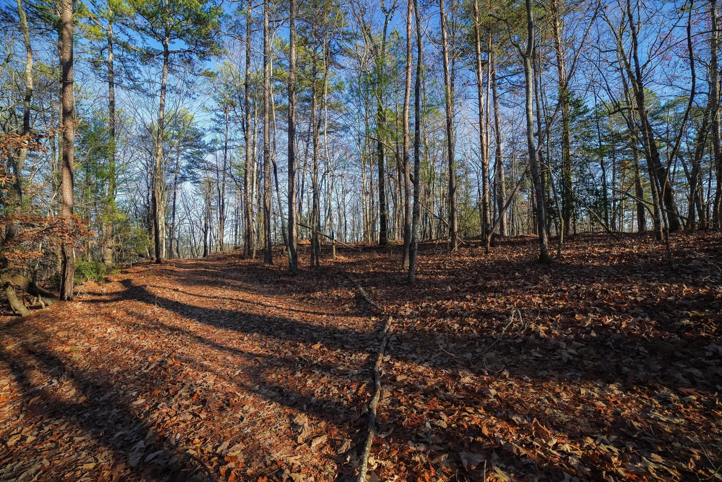 Land for Sale Blue Ridge Mountain Views, Dahlonega GA — North