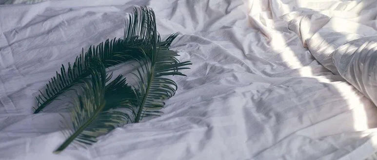 Patient: Why do transgender people struggle to get cervical screening?