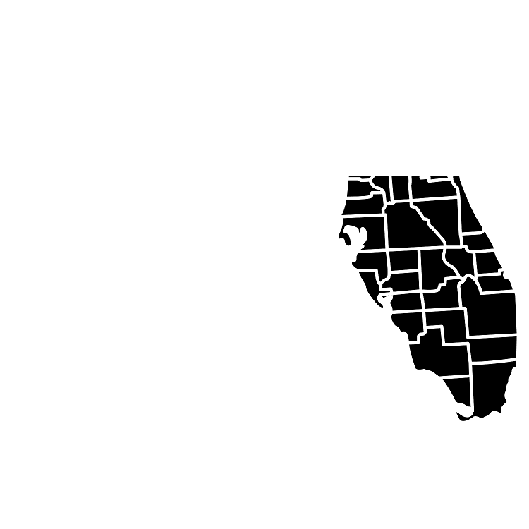 FLORIDA - MAP VECTOR  _2.png
