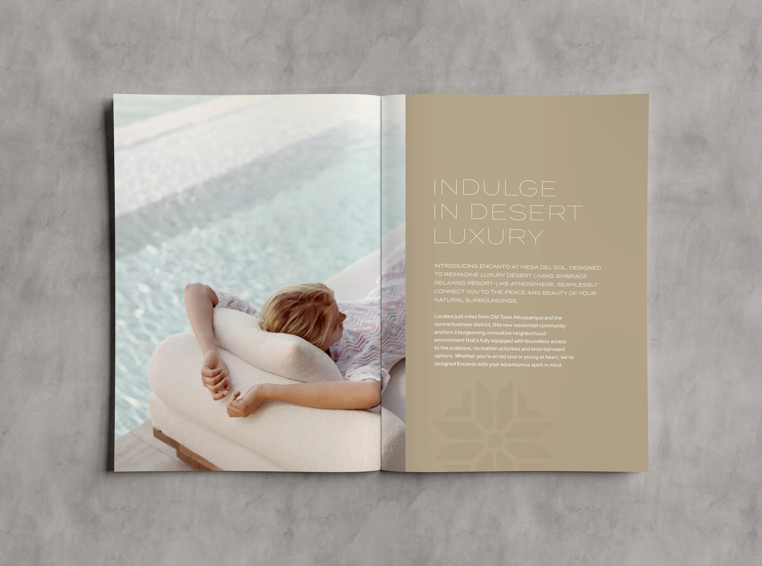 Encanto Brochure Spread.jpg