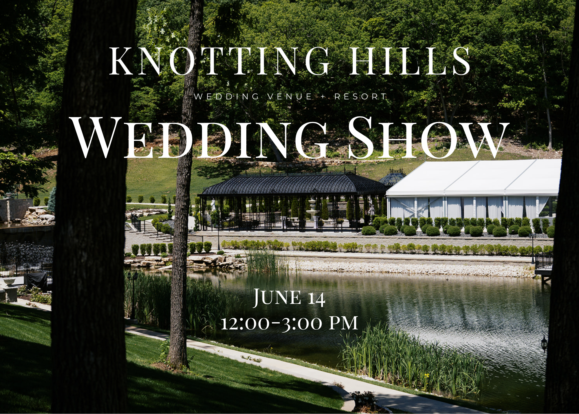 Wedding Show.png