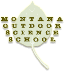 New_moss_website_logo.png